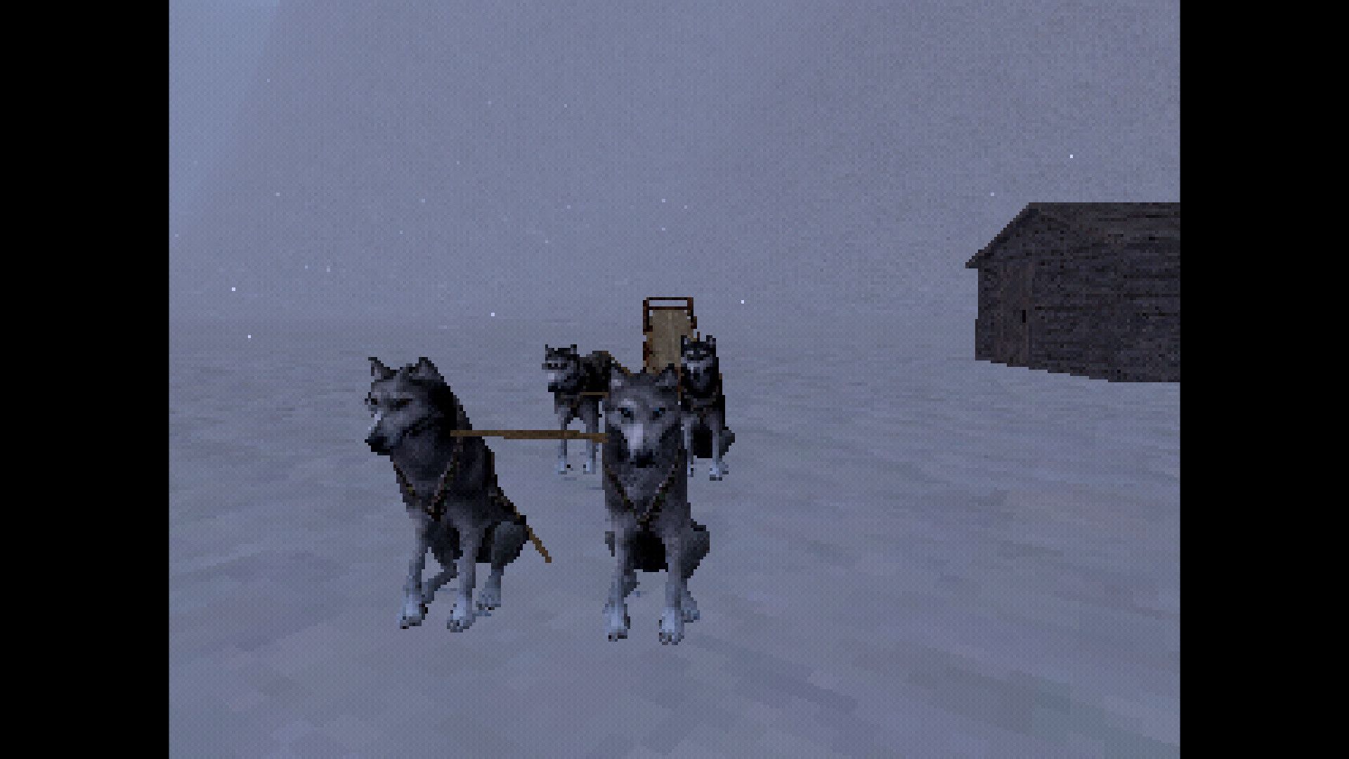 给予追捕的人/That Which Gave Chase_3