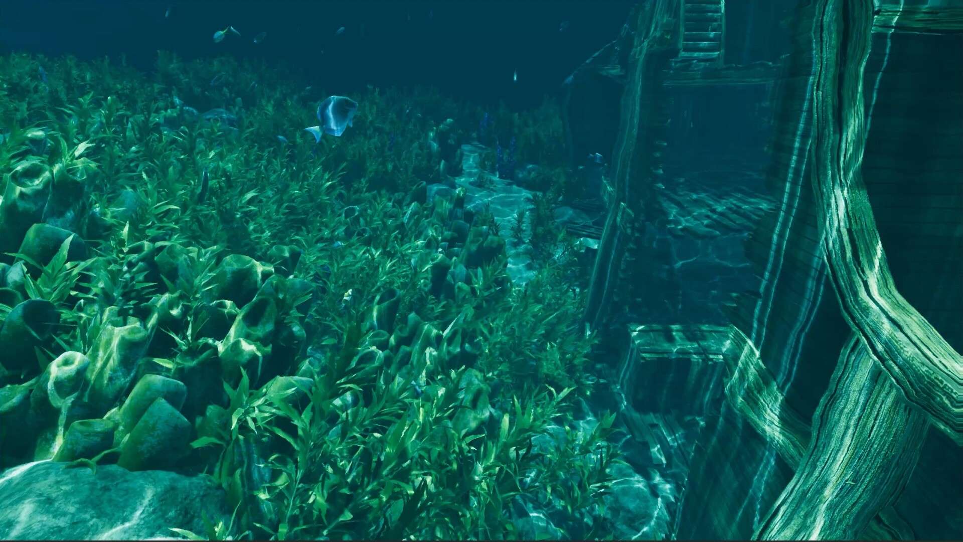 孤岛笔记/Island Notes_4