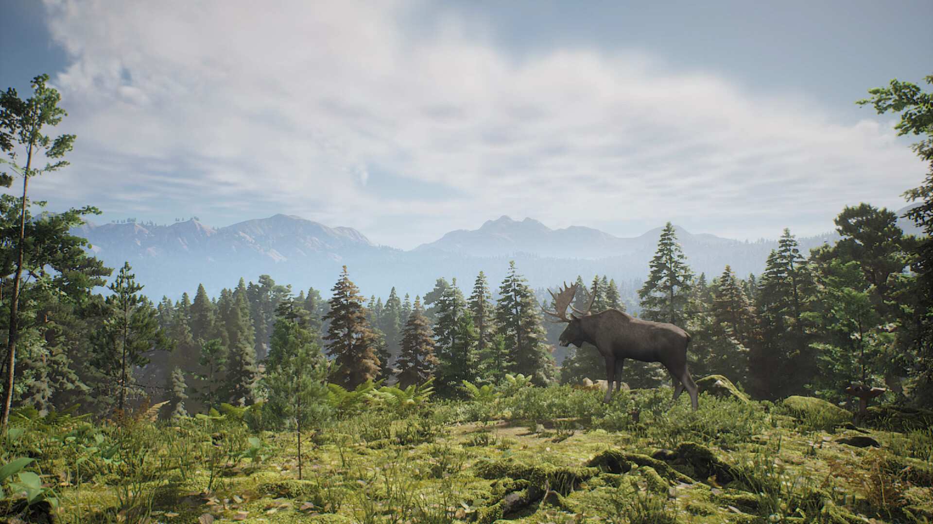 狩猎计划/Project Hunt_1