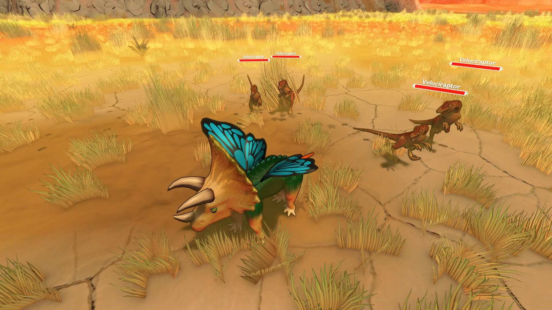 奇异种子/Strange Seed_5