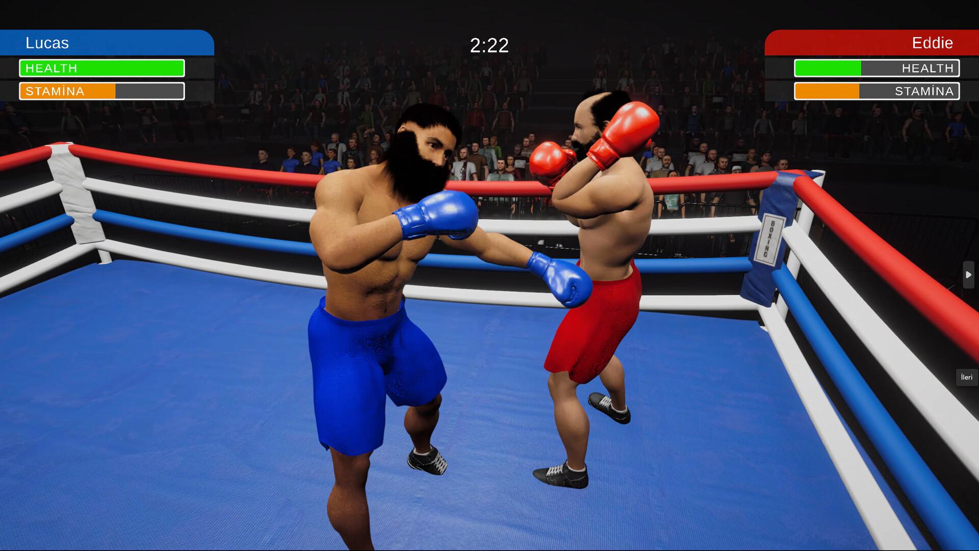 拳击模拟器/Boxing Simulator_2