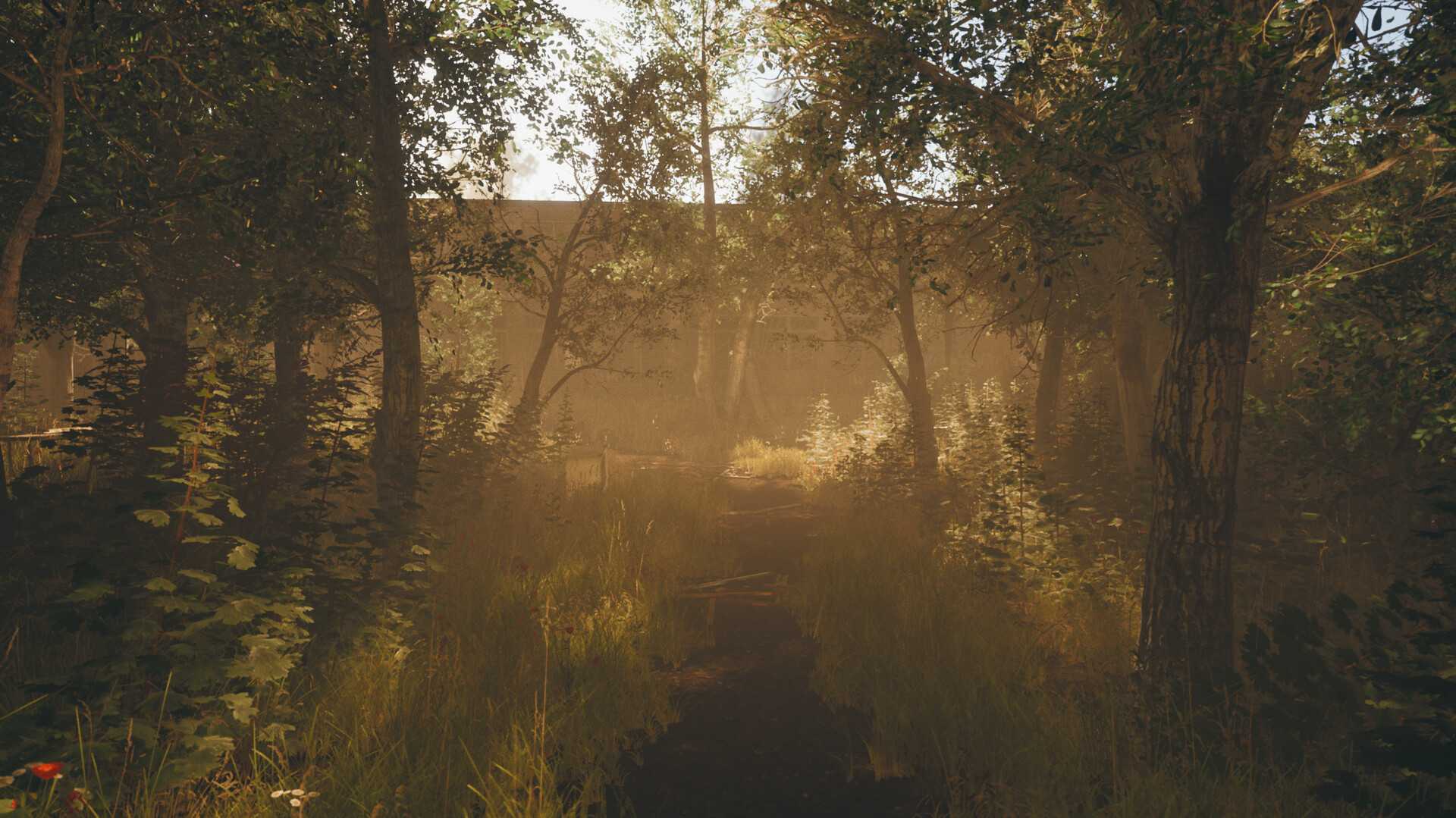 我的碎片/Pieces of me_4