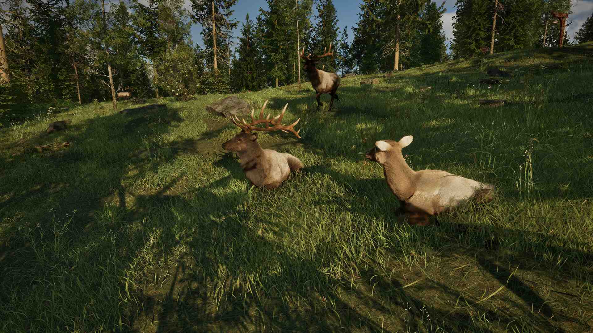 护林员之路：国家公园模拟器/Ranger’s Path: National Park Simulator_5