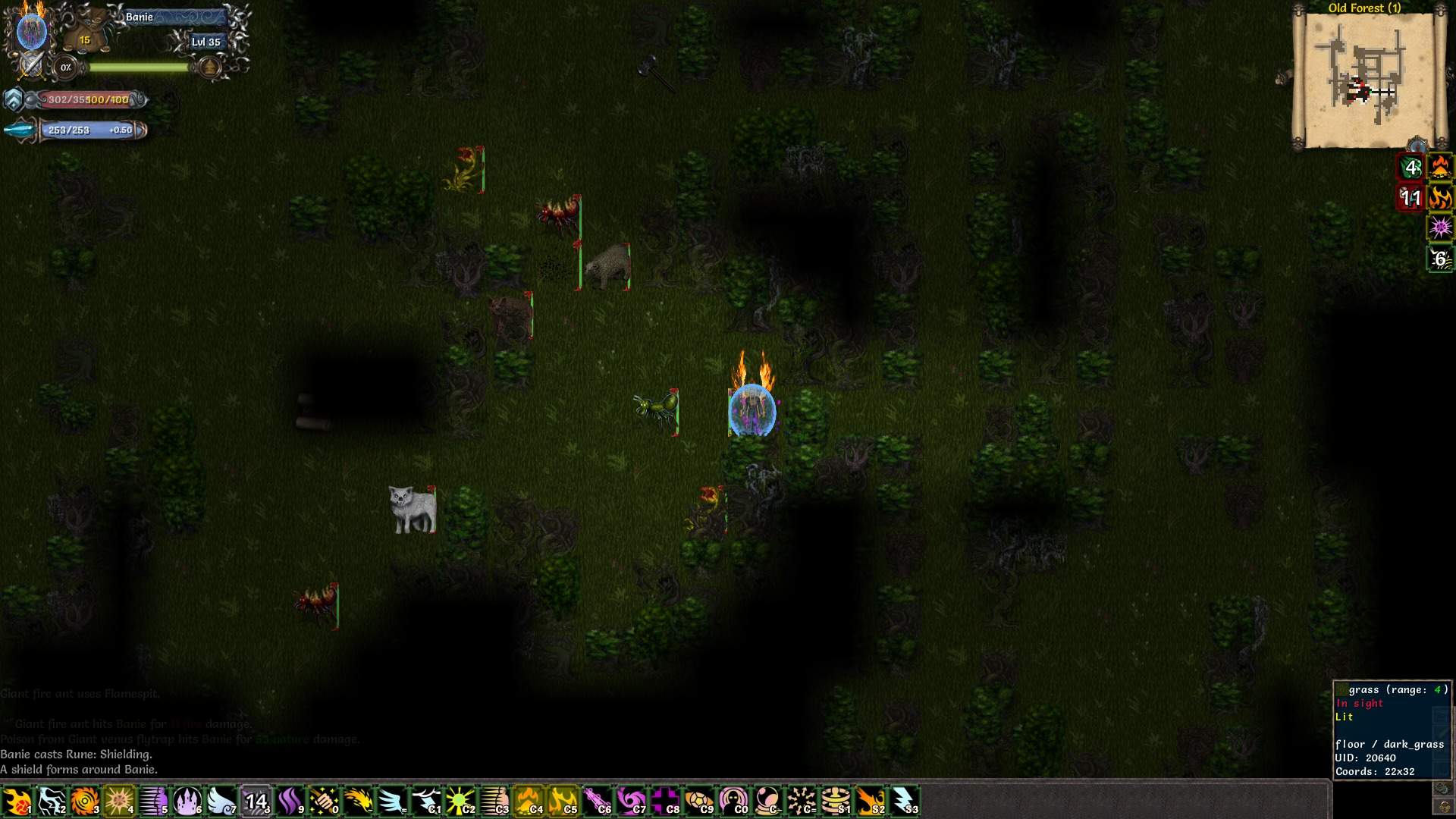 马基埃亚尔的传说/Tales of Maj'Eyal_4