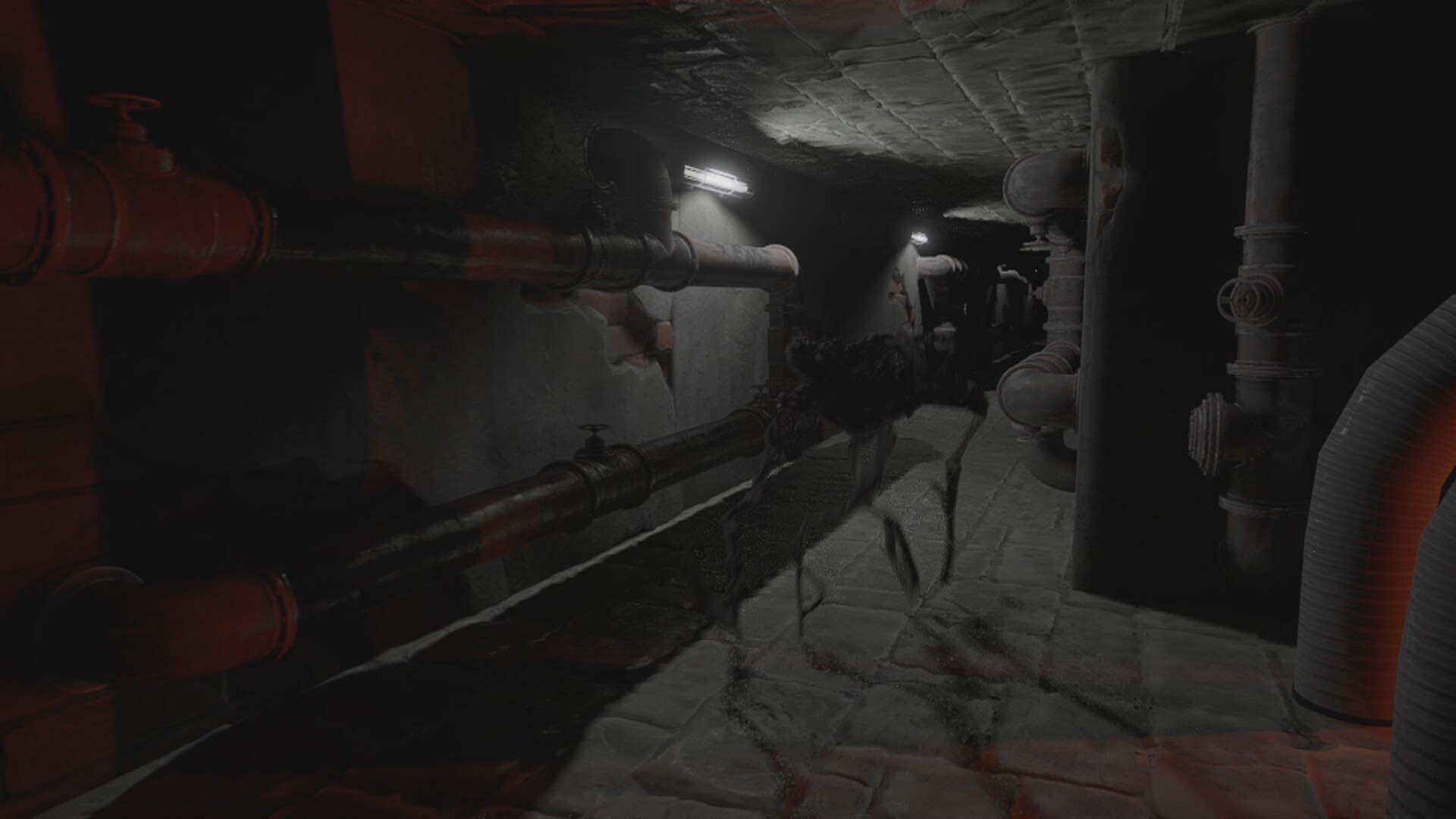 失落的希望：密室/Lost Hope: Backrooms_1