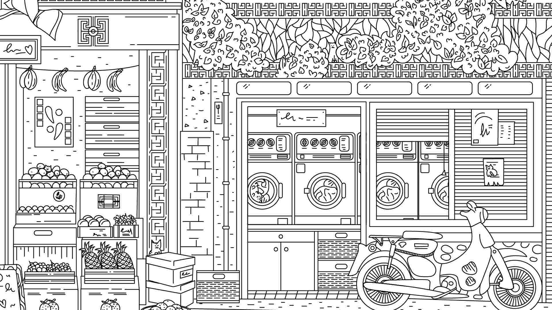 隐藏在中国的猫/Cats Hidden in China_2