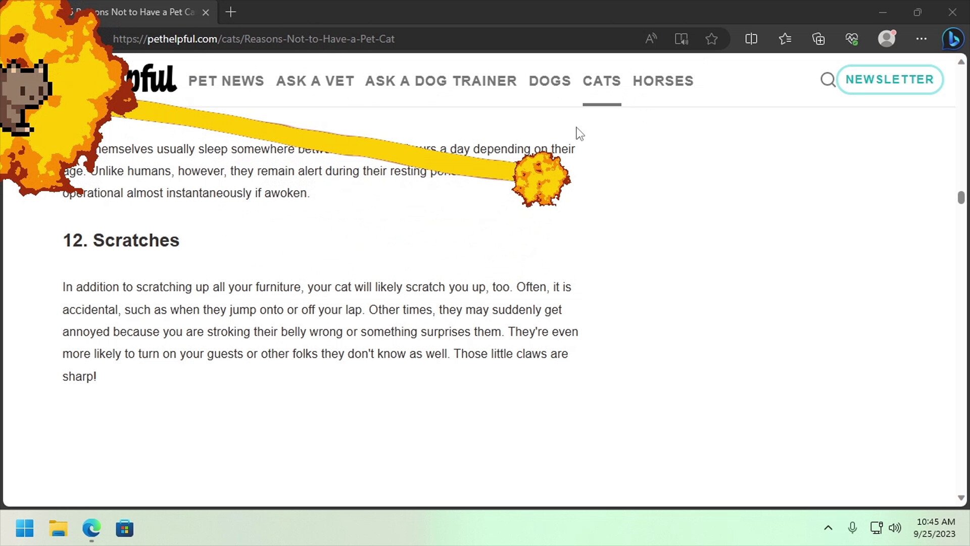 桌面宠物/Desktop Pet Project_0