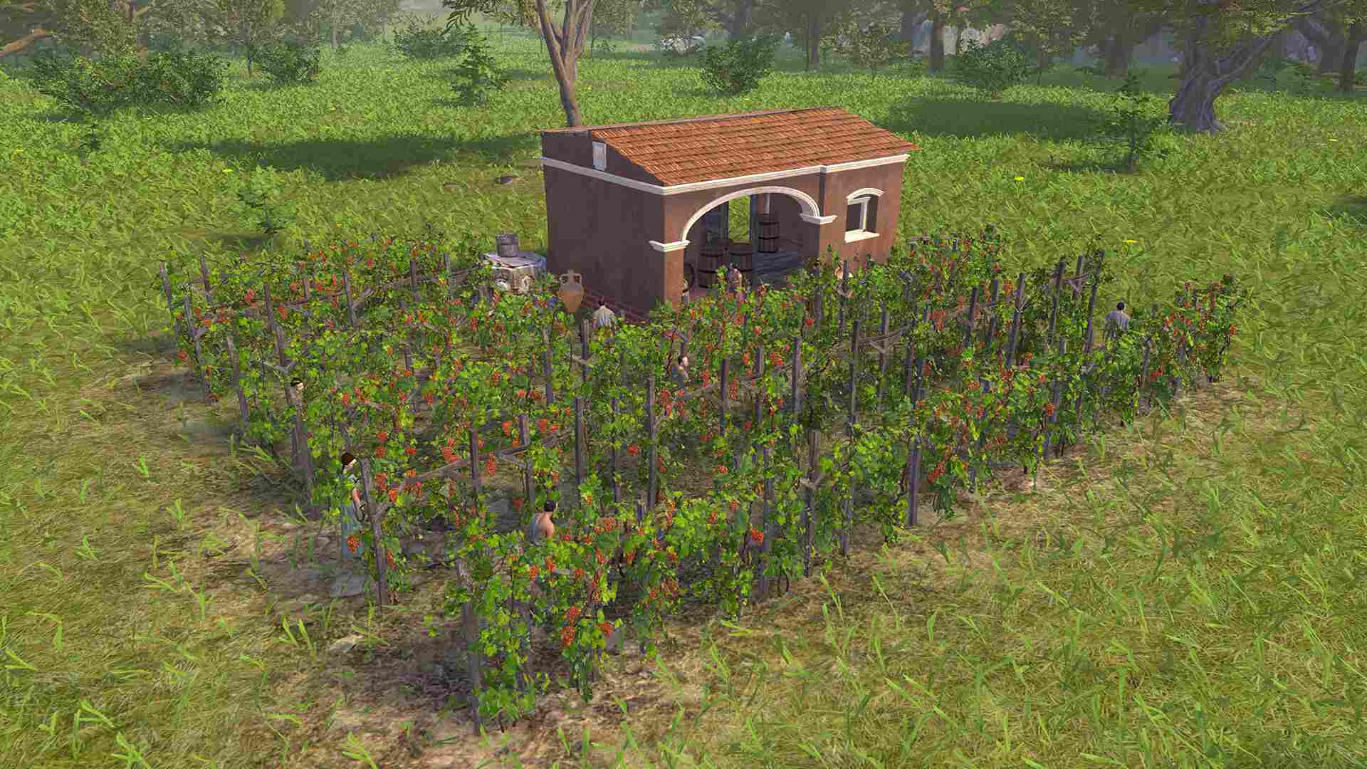 庞贝：遗产/Pompeii: The Legacy_5