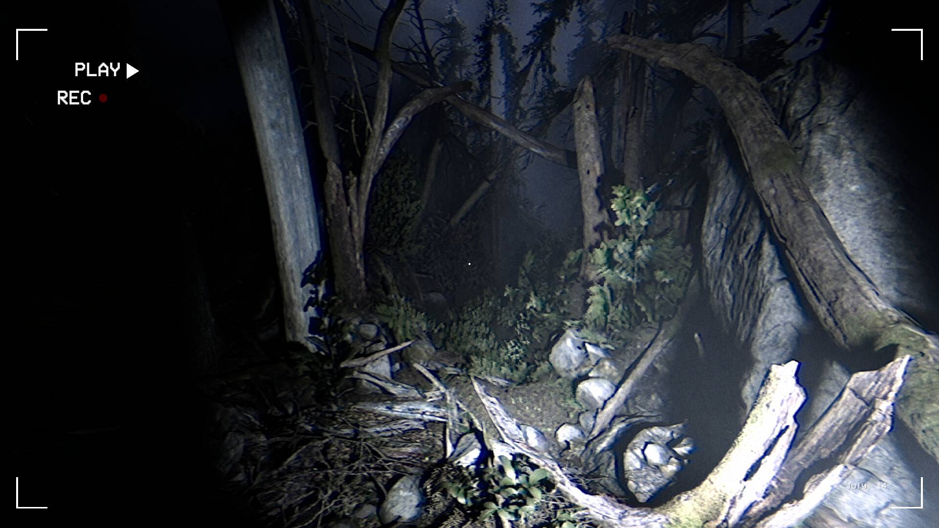 暗夜同行/Together After Dark_1