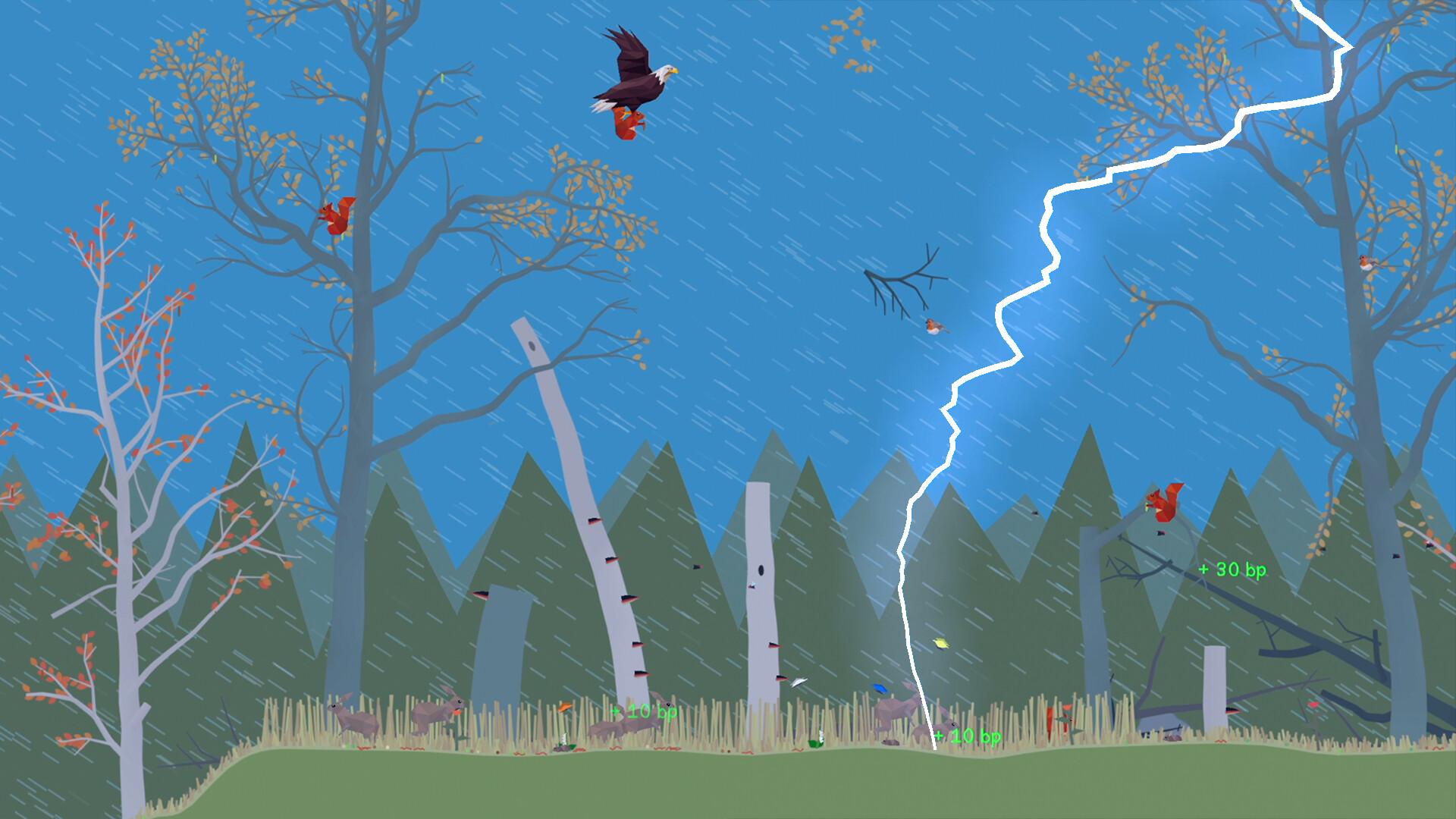 小松林/PolyPine_1