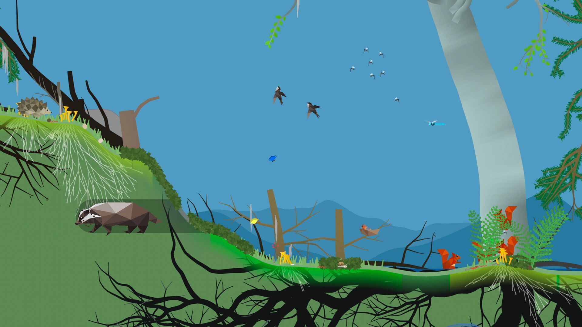 小松林/PolyPine_4