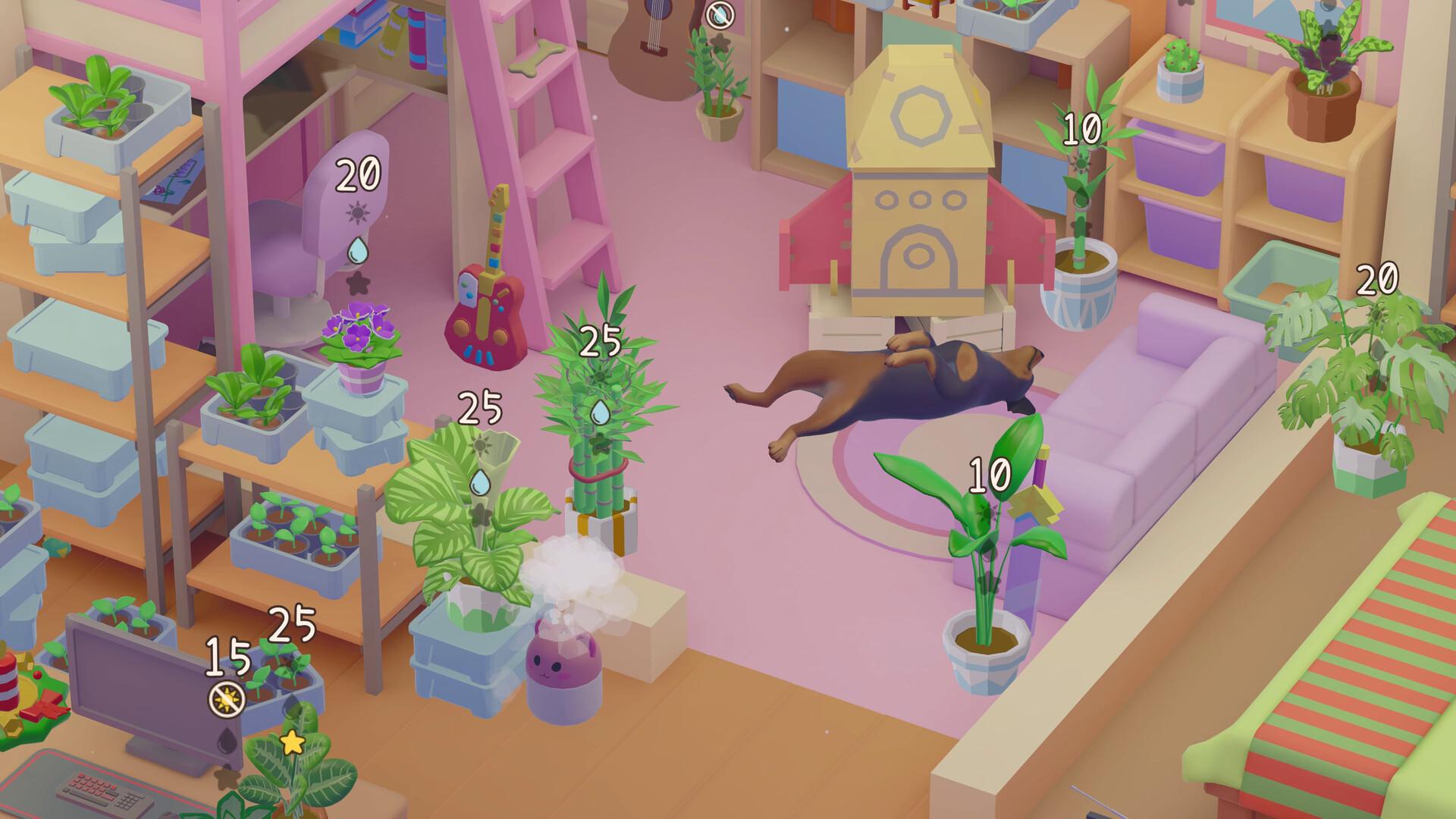 我的小绿屋/Urban Jungle_2