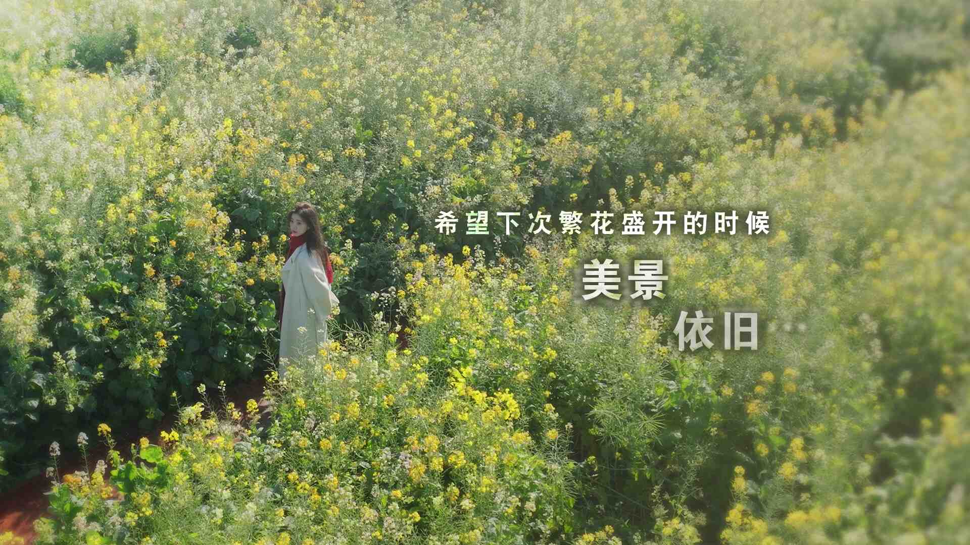 这个是真的喜欢！/I've Fallen For You!_0