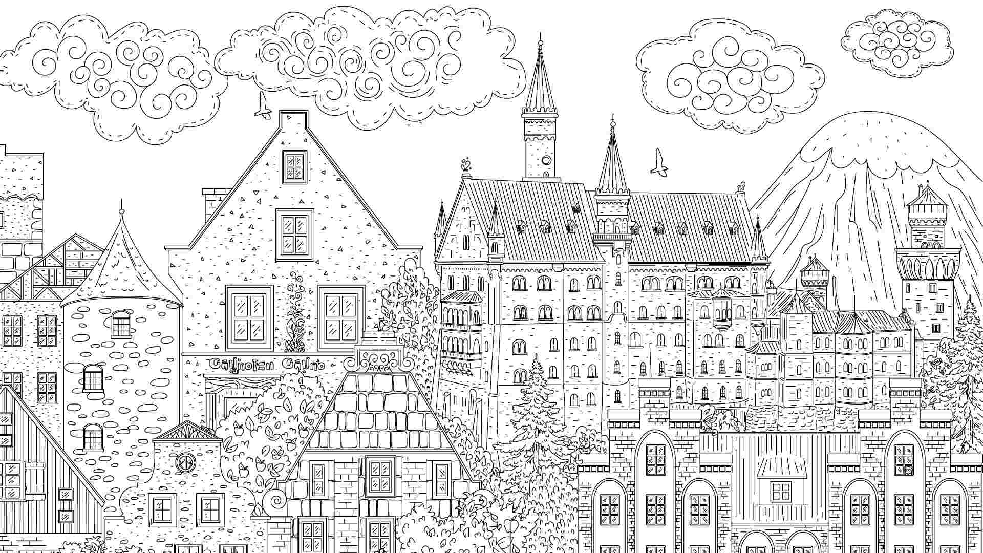 隐藏在德国的猫/Cats Hidden in Germany_0