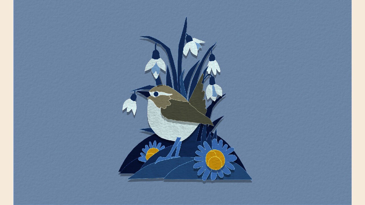 剪纸美术馆-自然/Papercut Art Gallery-Nature_1