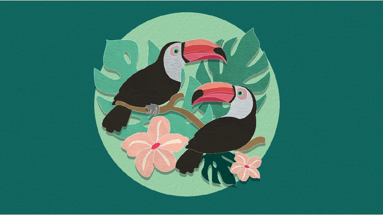 剪纸美术馆-自然/Papercut Art Gallery-Nature_4