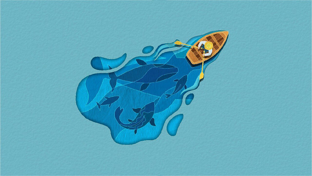 剪纸美术馆-自然/Papercut Art Gallery-Nature_0