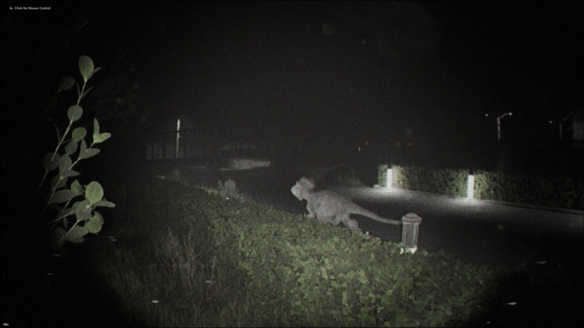 诡影实录/Unknown Tapes_3