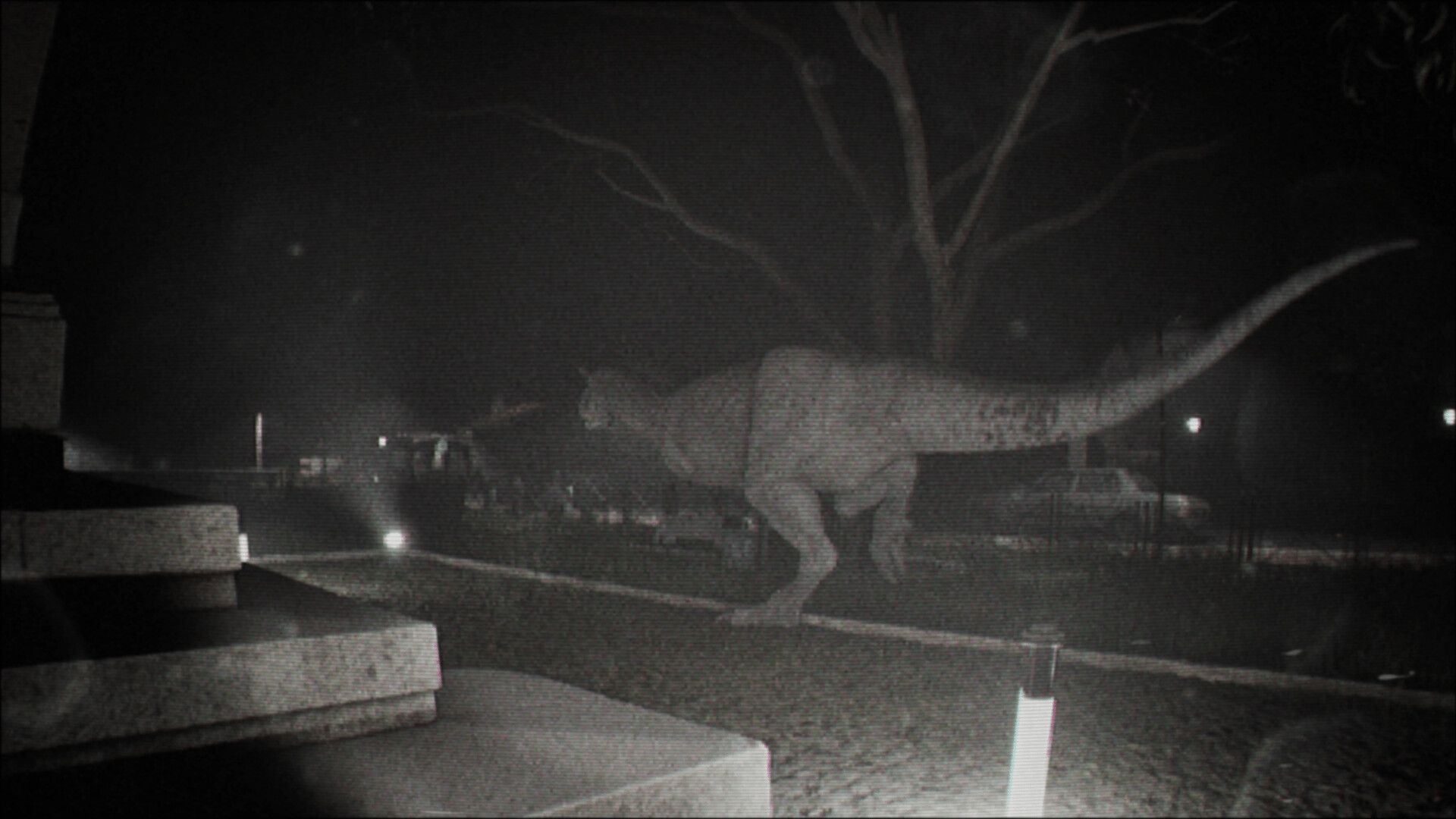 诡影实录/Unknown Tapes_1