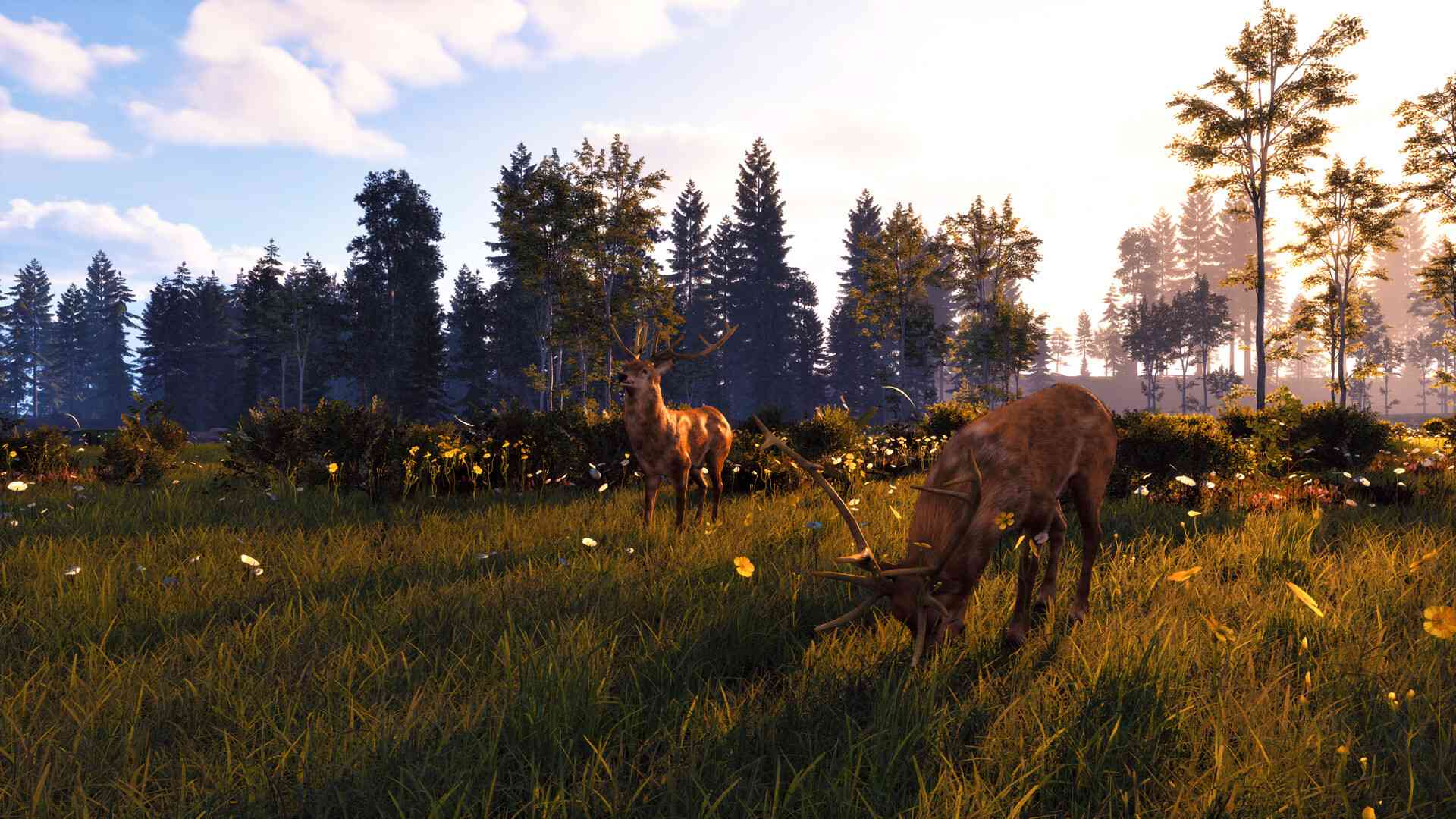 风暴：深厚友谊的开始 重制版/Windstorm: Start of a Great Friendship - Remastered_2