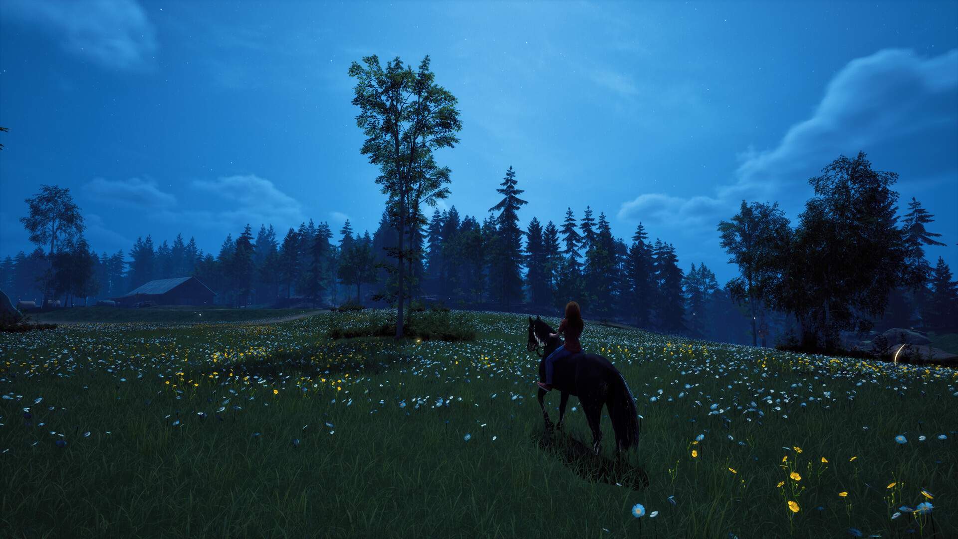 风暴：深厚友谊的开始 重制版/Windstorm: Start of a Great Friendship - Remastered_1