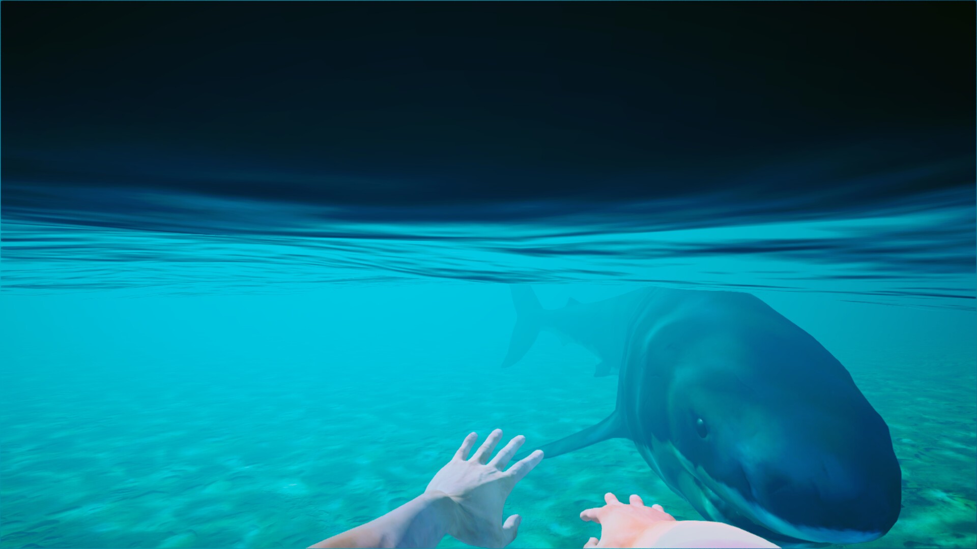 海滩俱乐部模拟器2024/Beach Club Simulator 2024_2