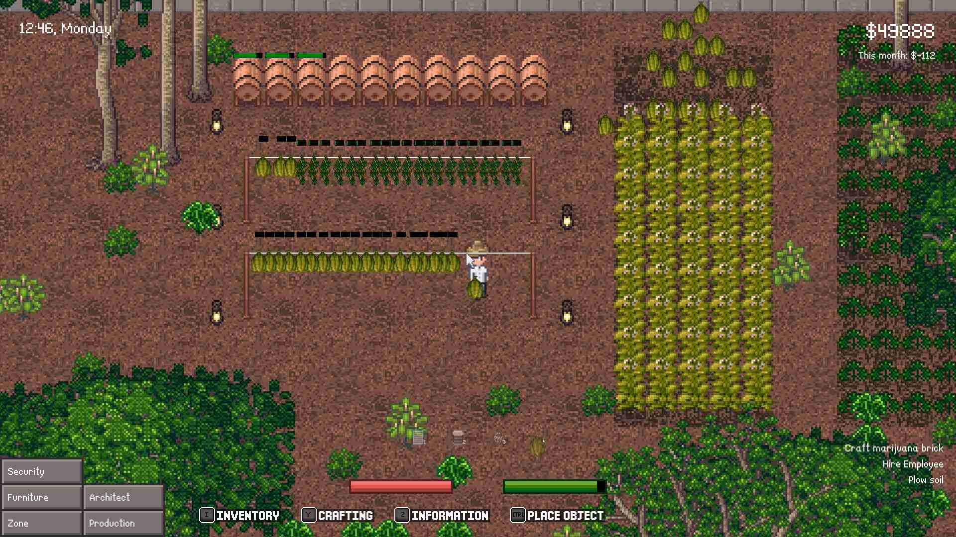 我的毒枭集团/My Drug Cartel_3