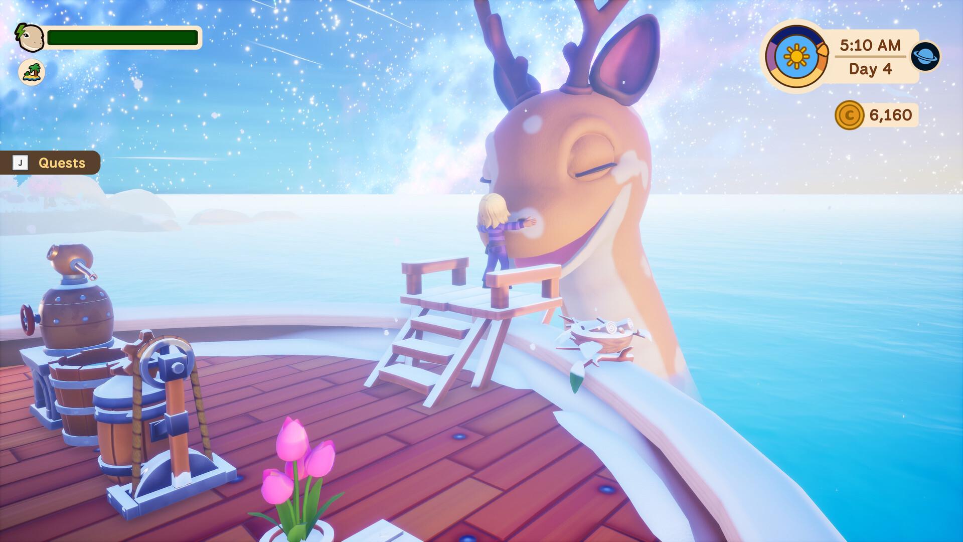 寻宝湾/Collector's Cove_0