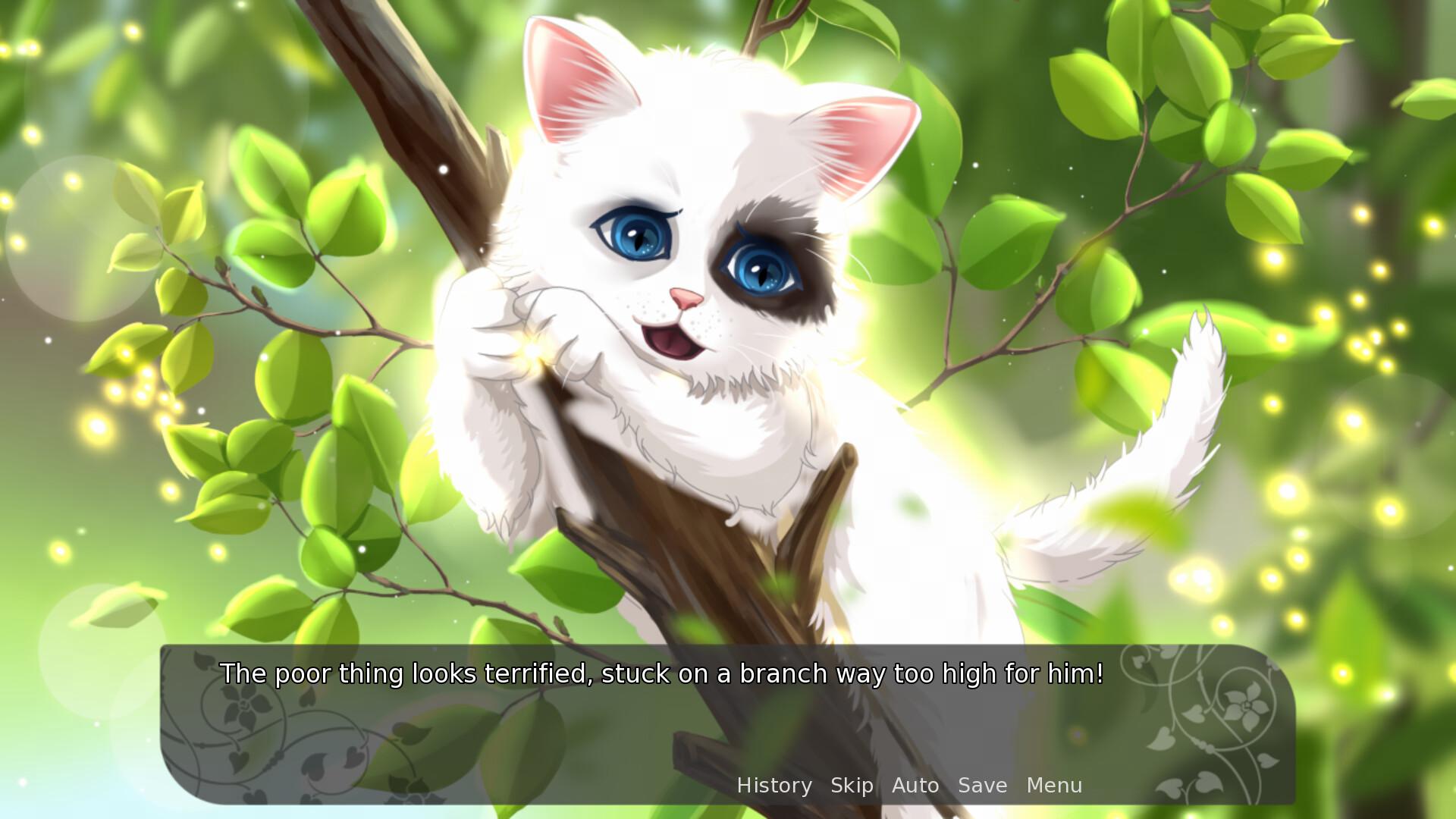 我的漂亮猫咪：白雪/My Fair Cat: Snow_2