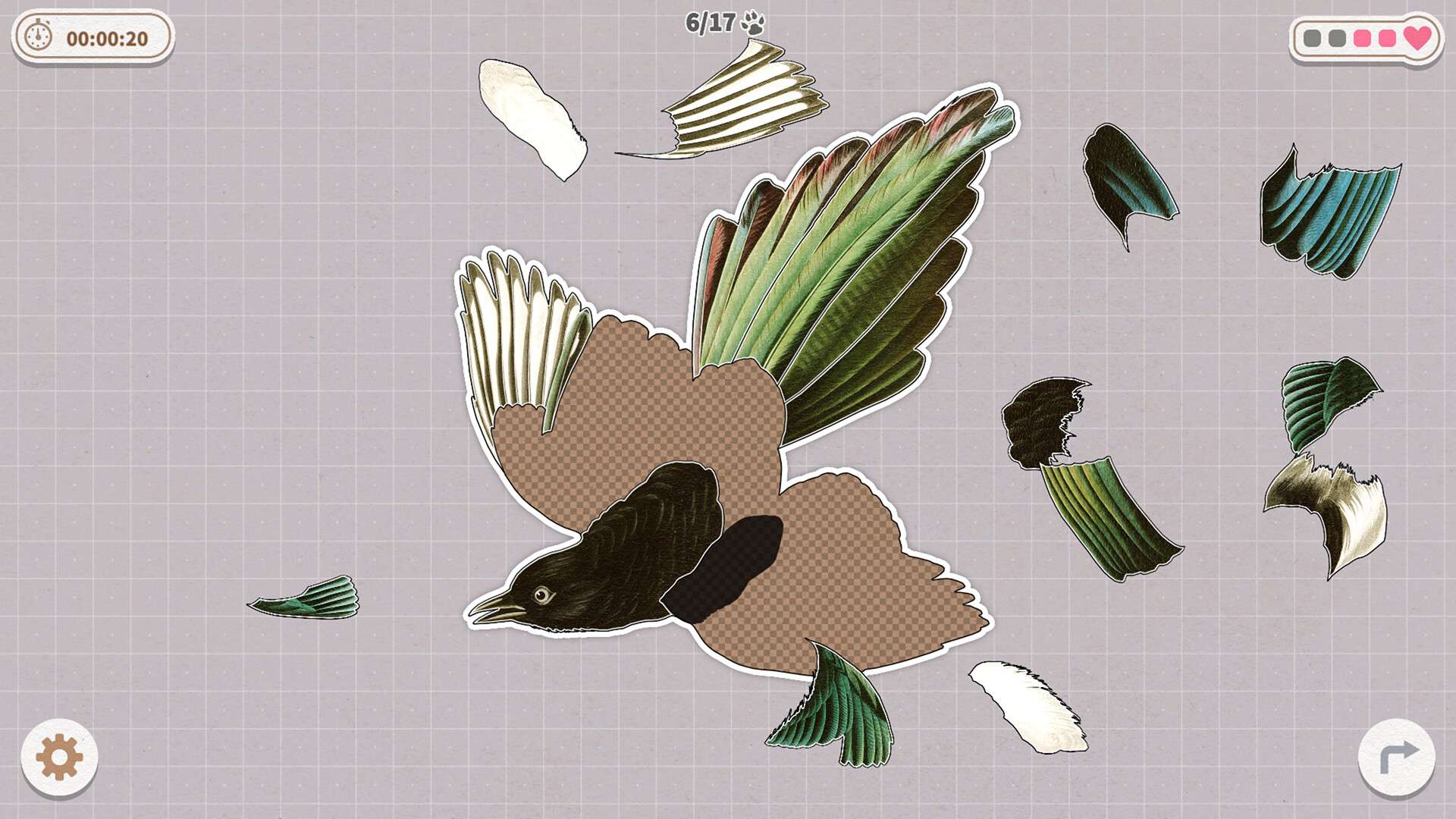 挤在一起的鸟鸟/Birds Huddled Together_0