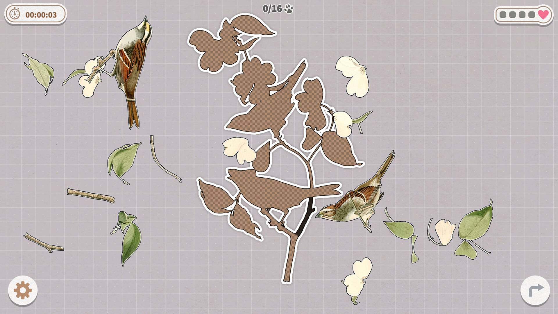 挤在一起的鸟鸟/Birds Huddled Together_2