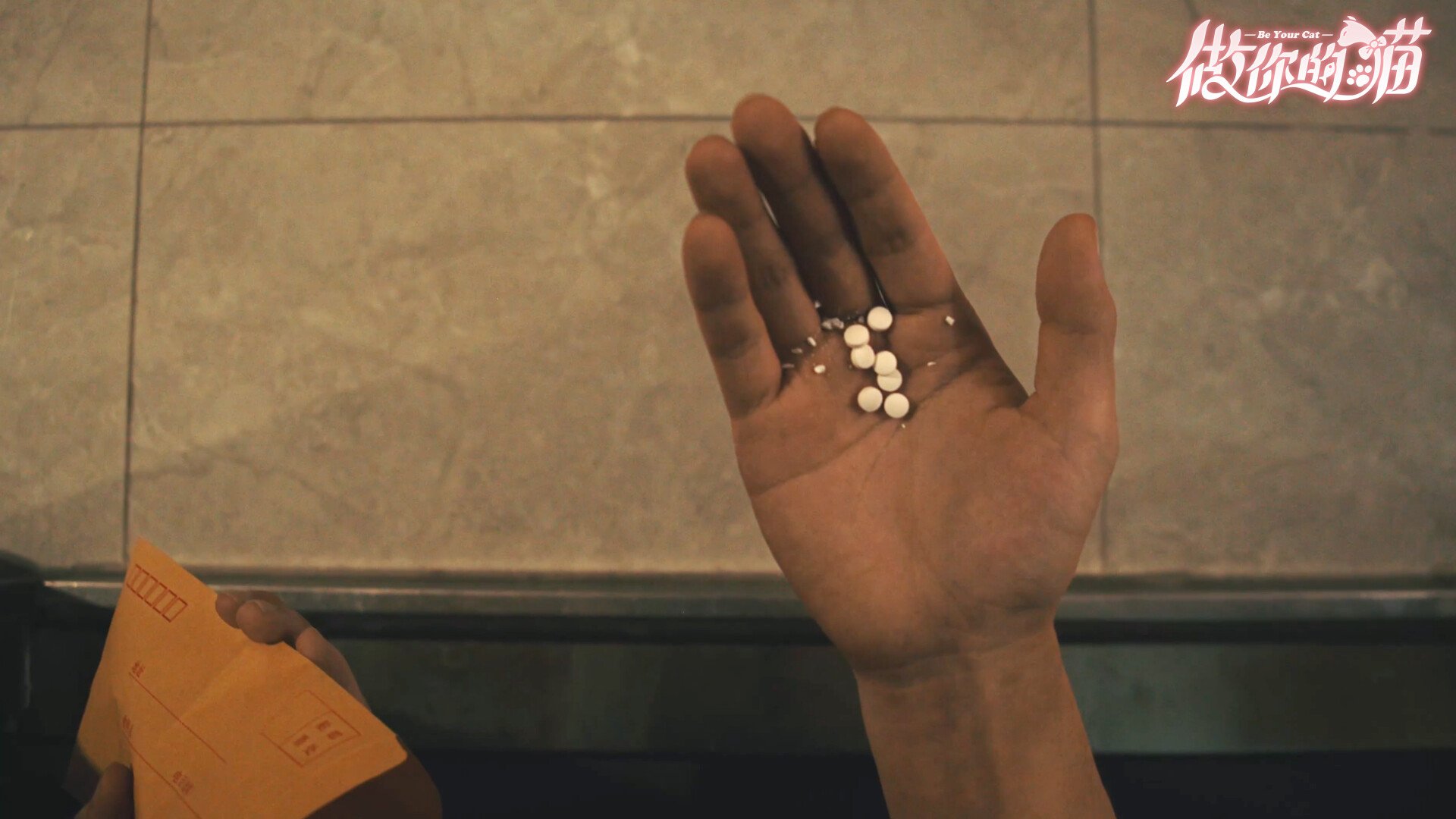 做你的猫/BeYourCat_3