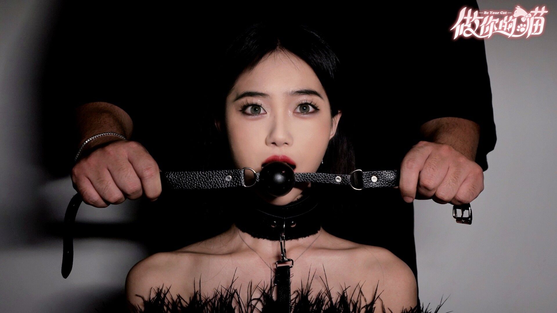 做你的猫/BeYourCat_4