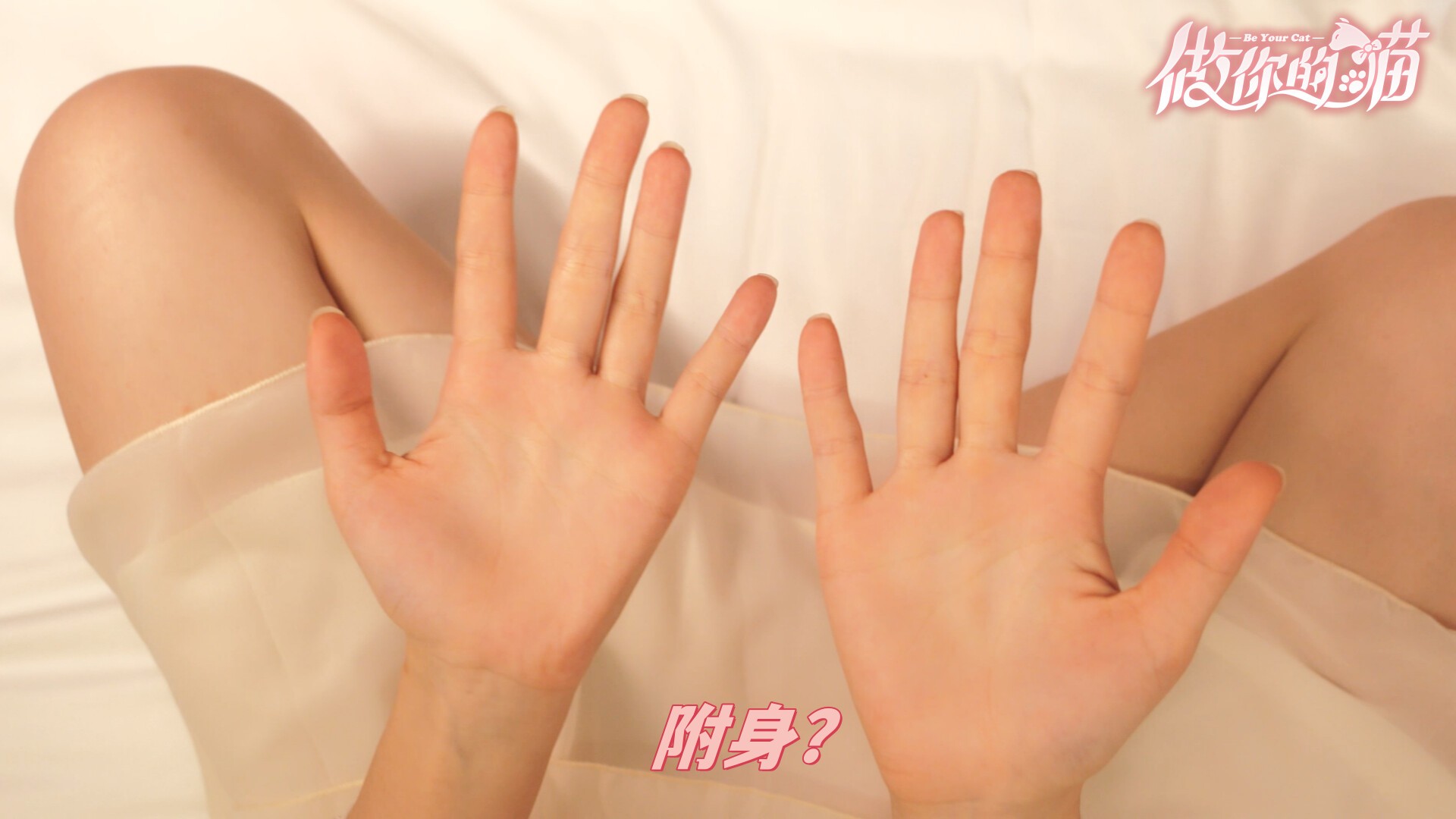 做你的猫/BeYourCat_1