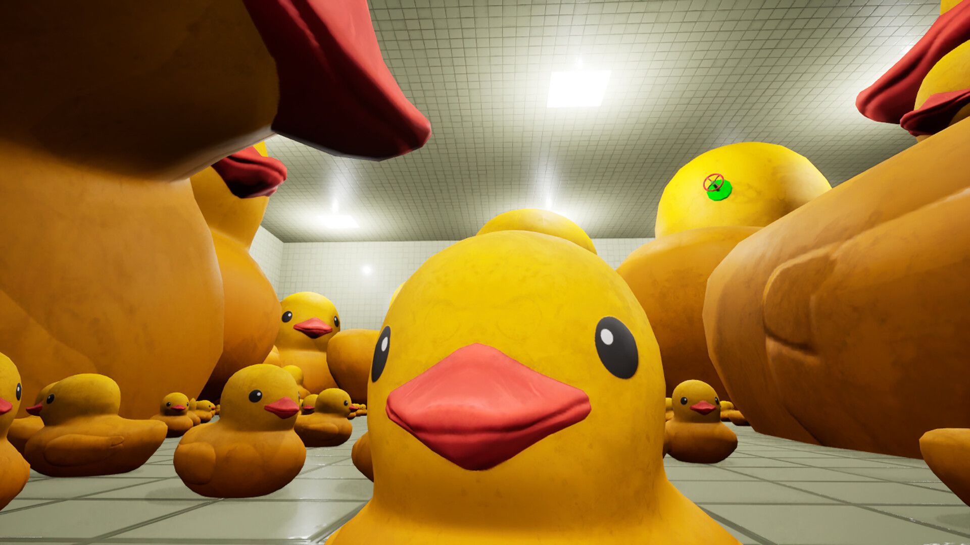 后室公司/Backroom Company_5