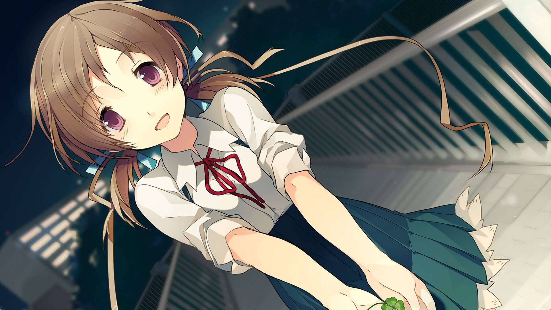 恋爱与选举与巧克力/Love, Elections, and Chocolate_1