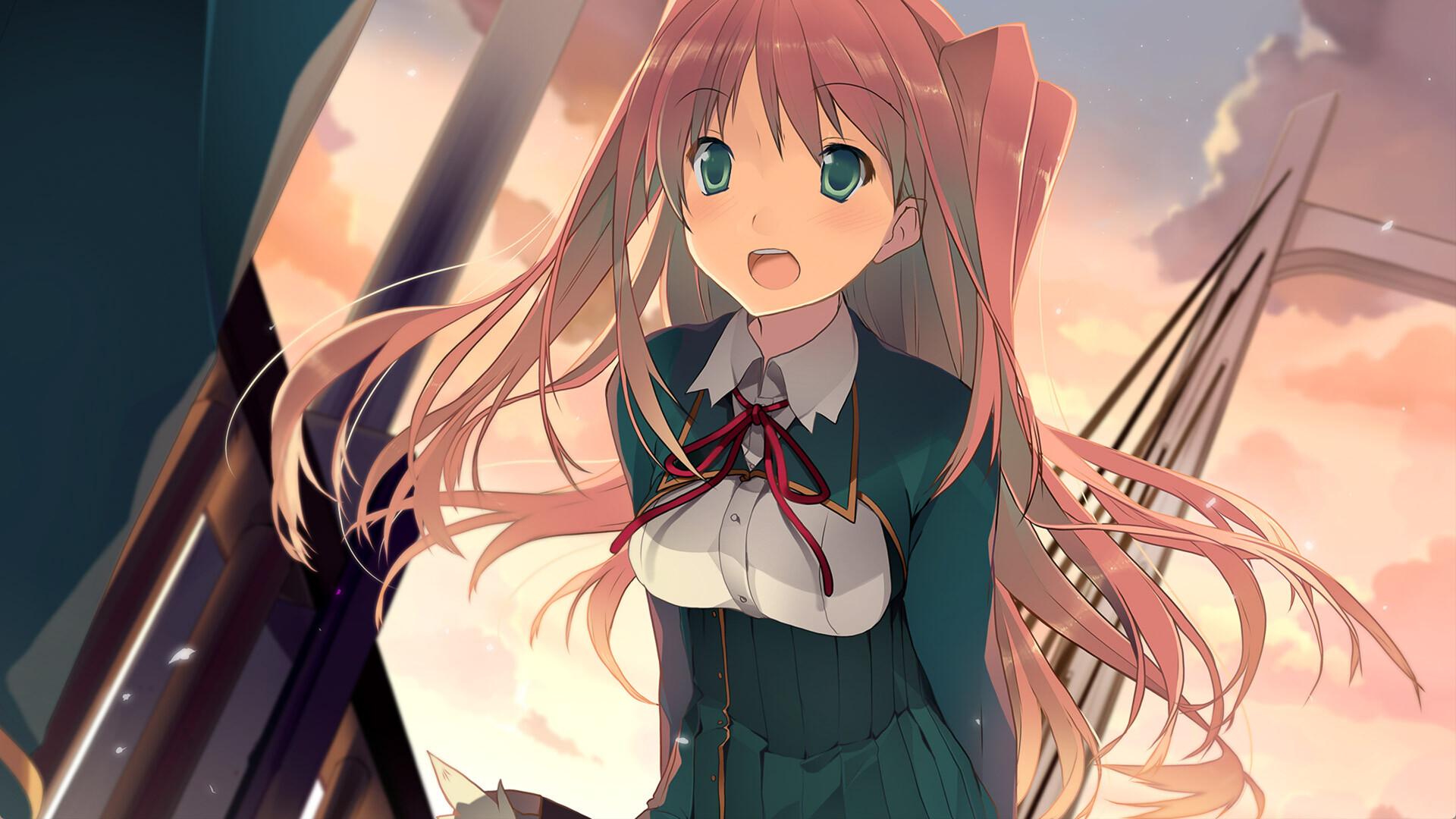 恋爱与选举与巧克力/Love, Elections, and Chocolate_0