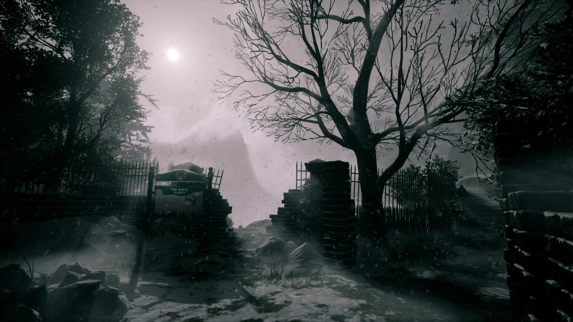 她要离开/She's Leaving_0