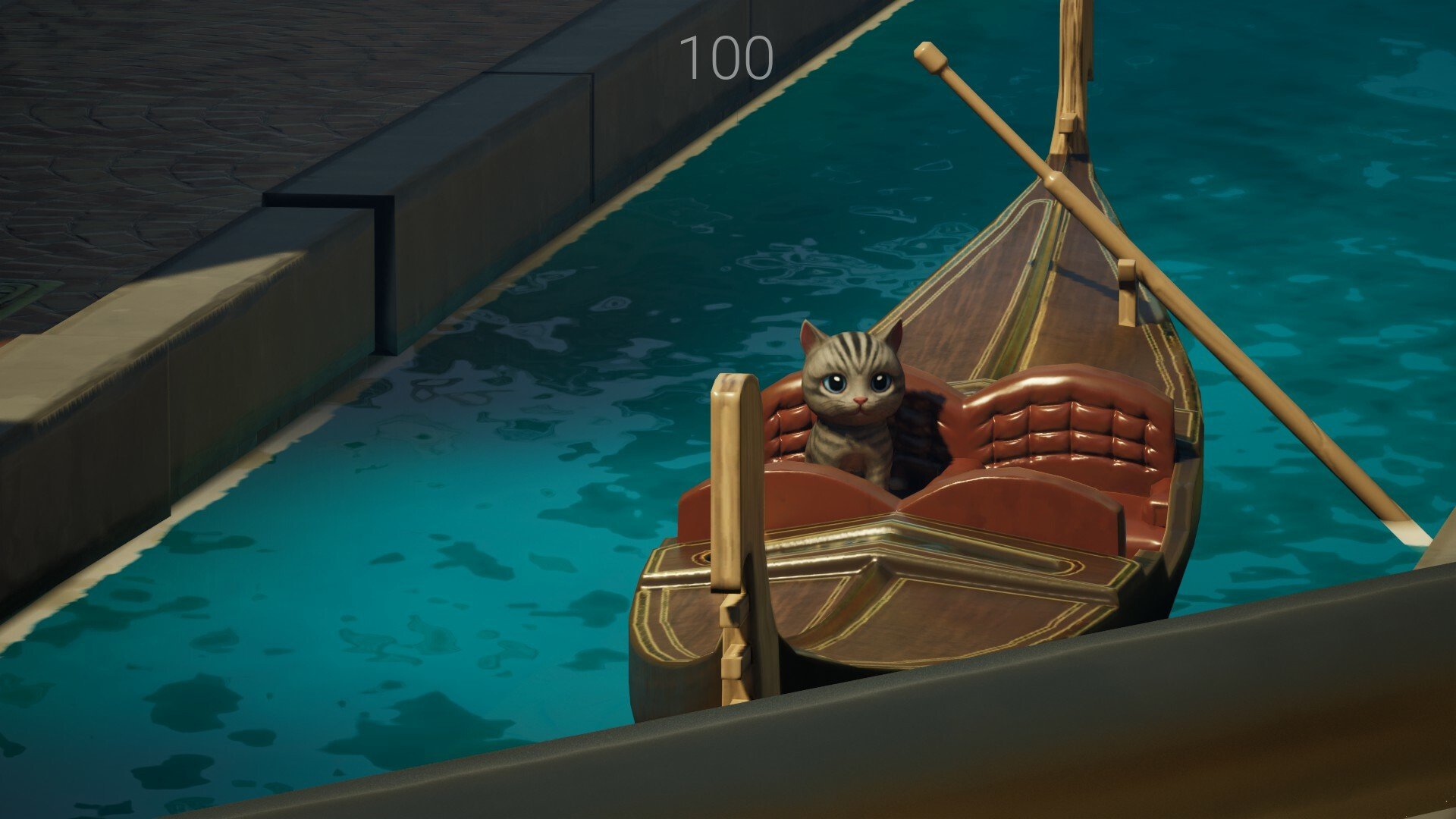 隐藏的猫咪入侵威尼斯/Hidden Cats Invade Venice_3