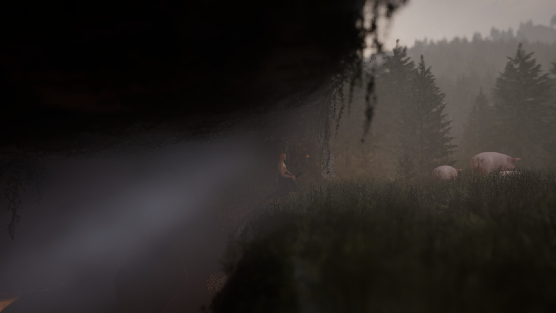 翻越它/Vaulting Over It_3