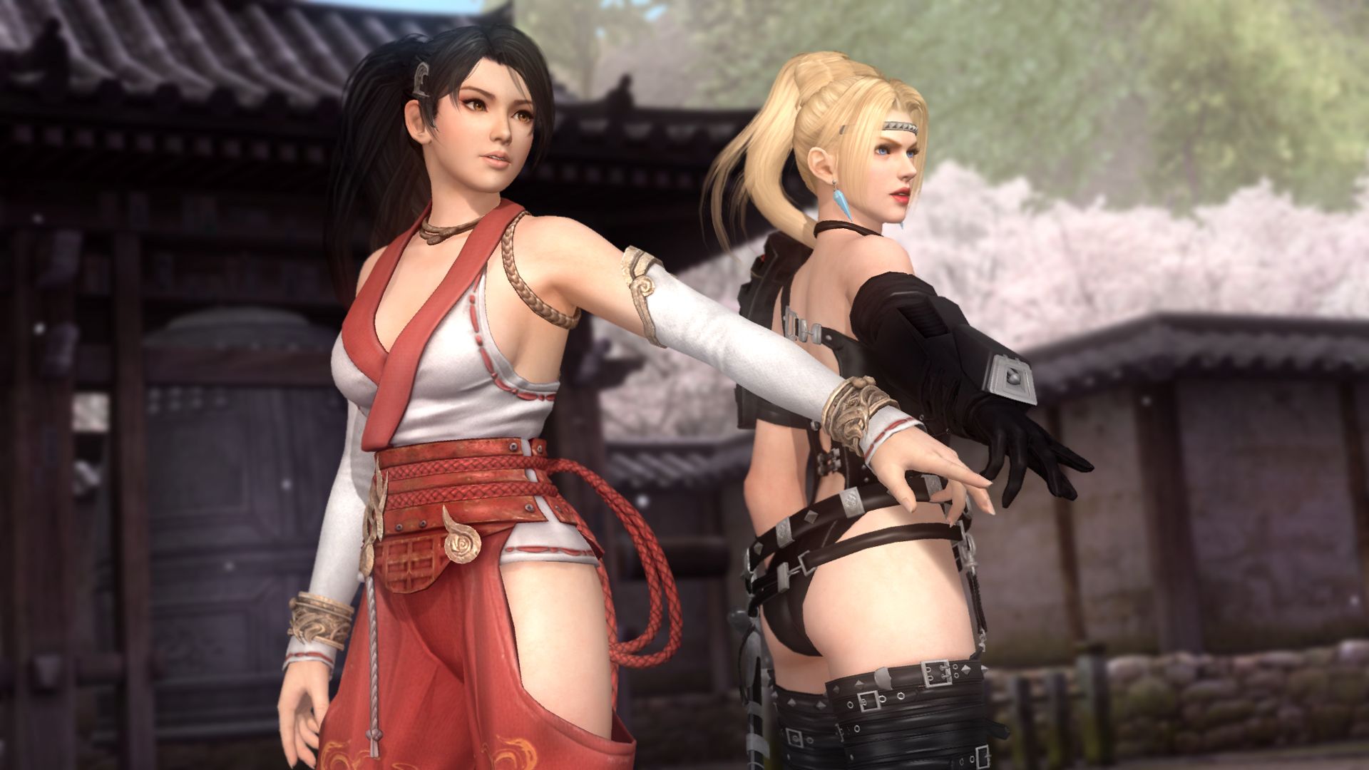 死或生5：最后一战/Dead or Alive 5：Last Round_3