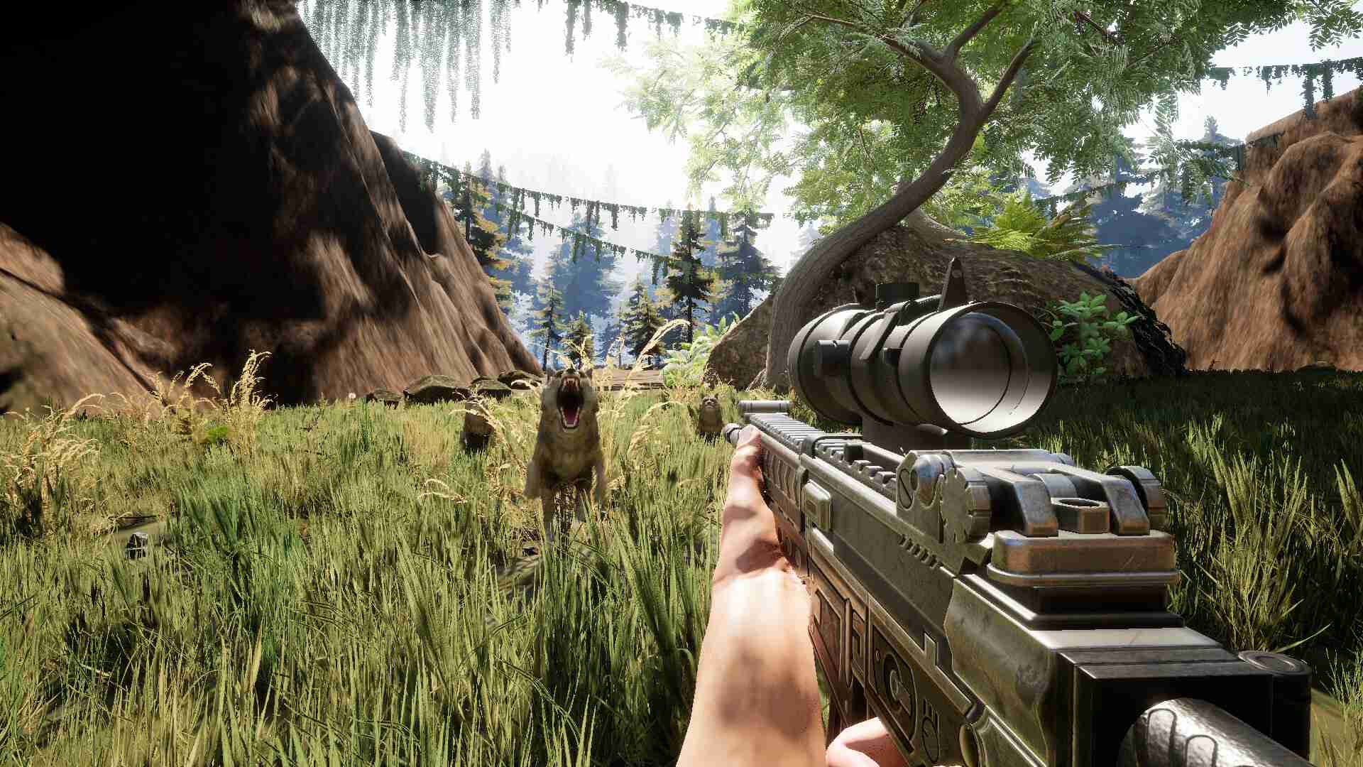 罗巴贝克亚/Robabekya_2