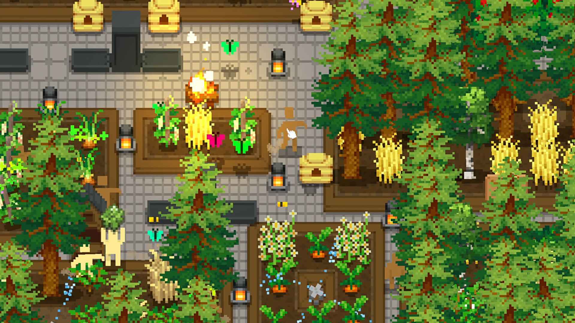 小梯田/Tiny Terraces_2