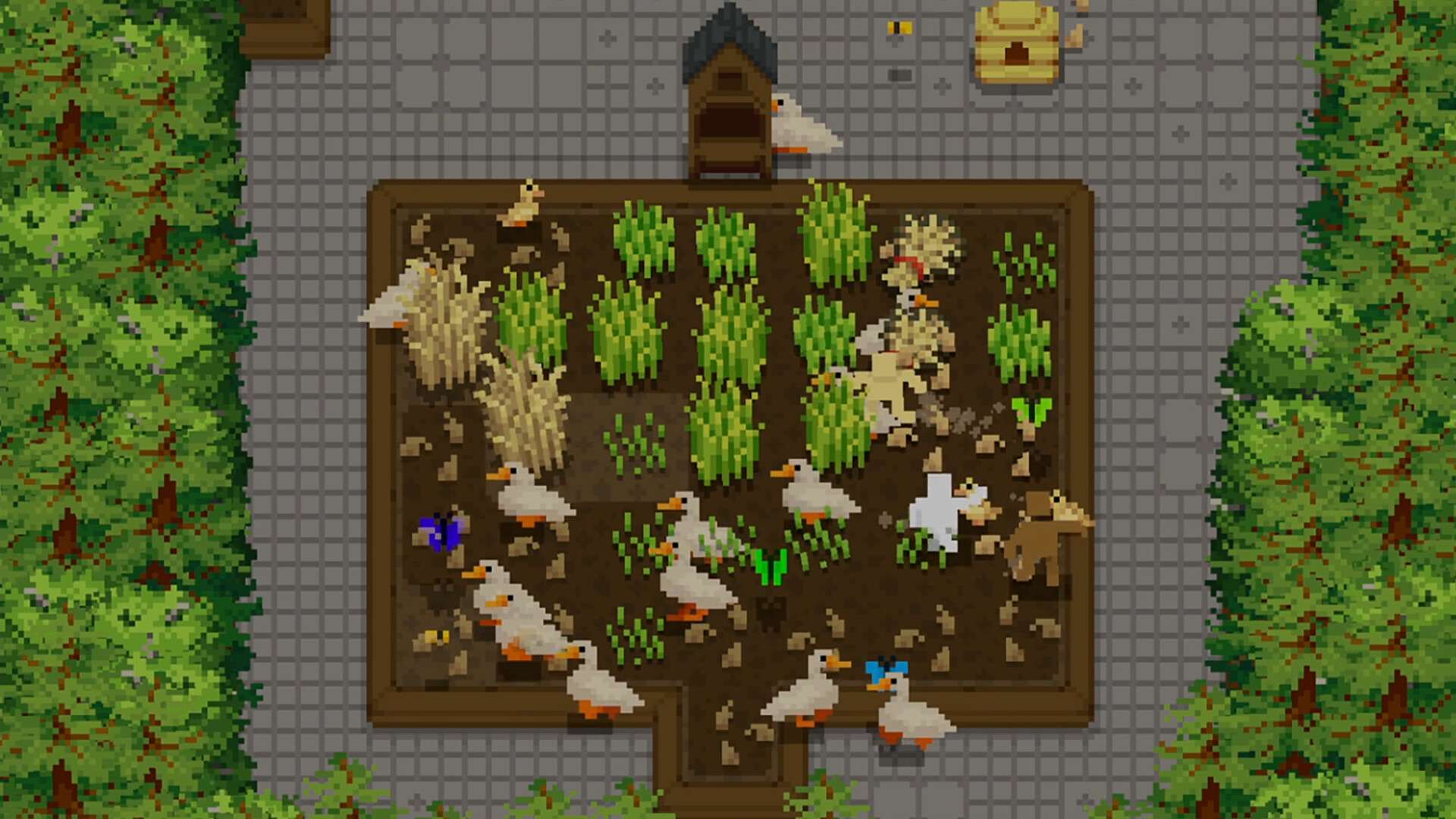 小梯田/Tiny Terraces_1