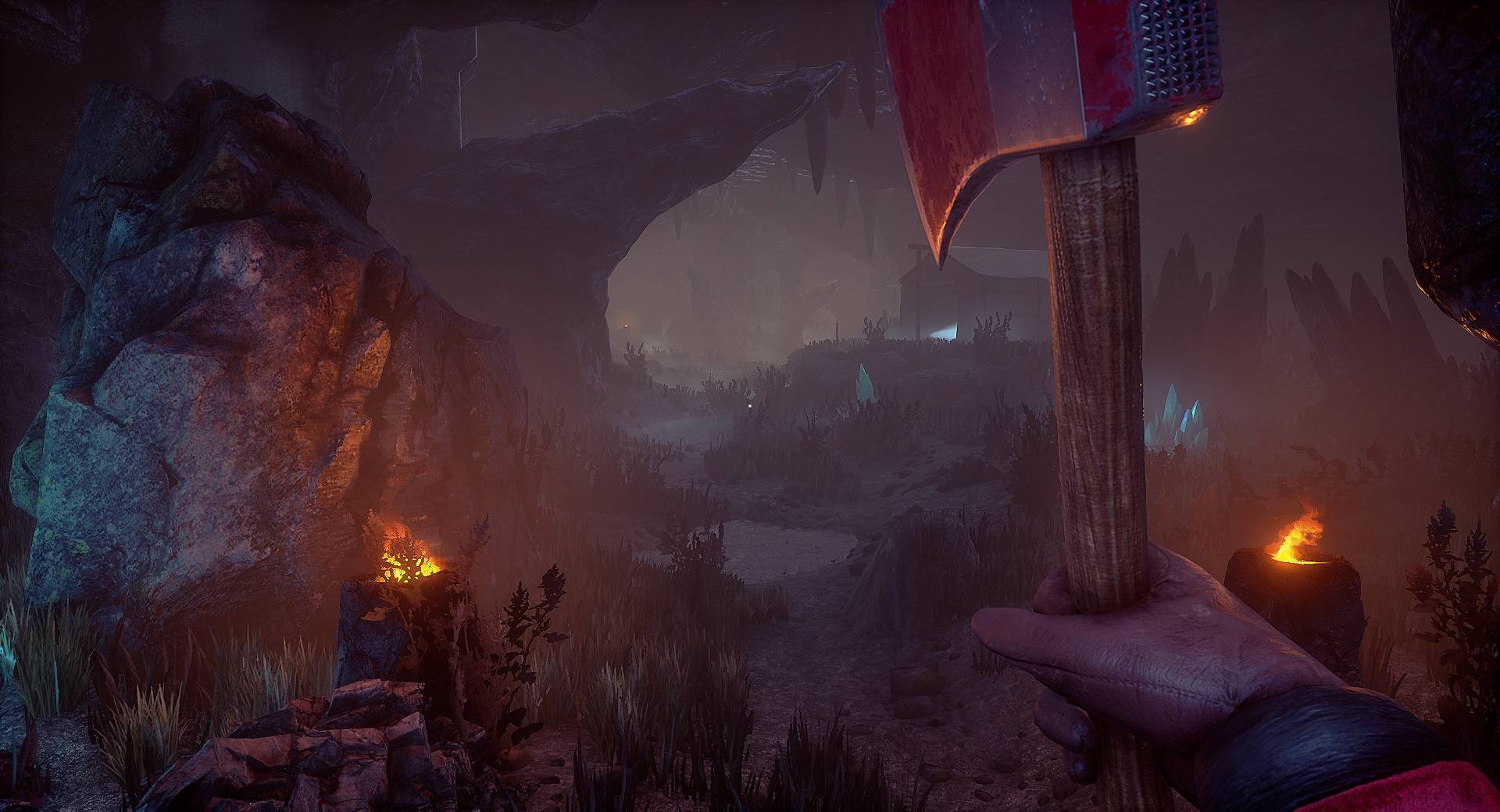 松果体/Conarium_5