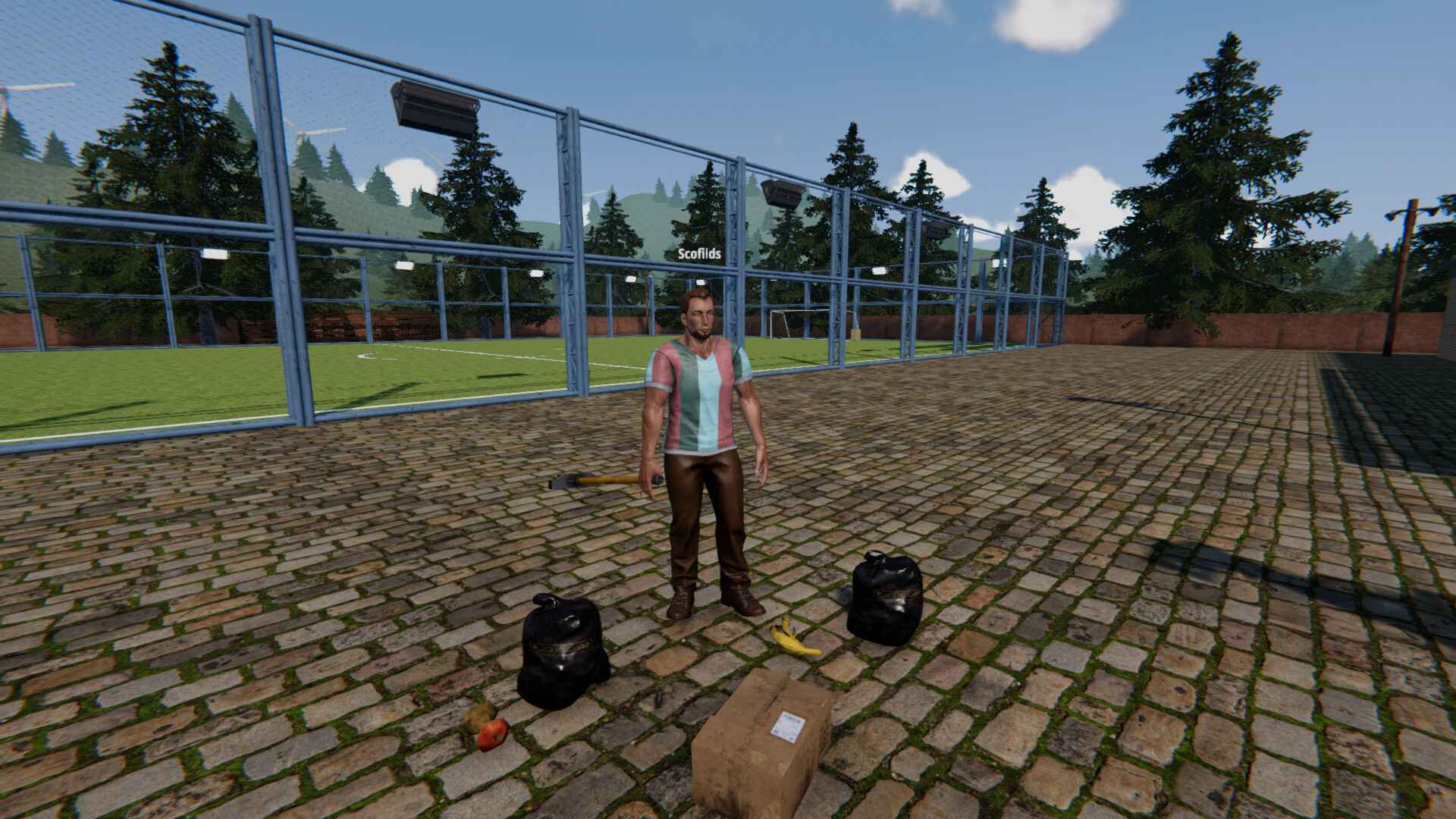 足球场模拟器/Football Pitch Simulator_1