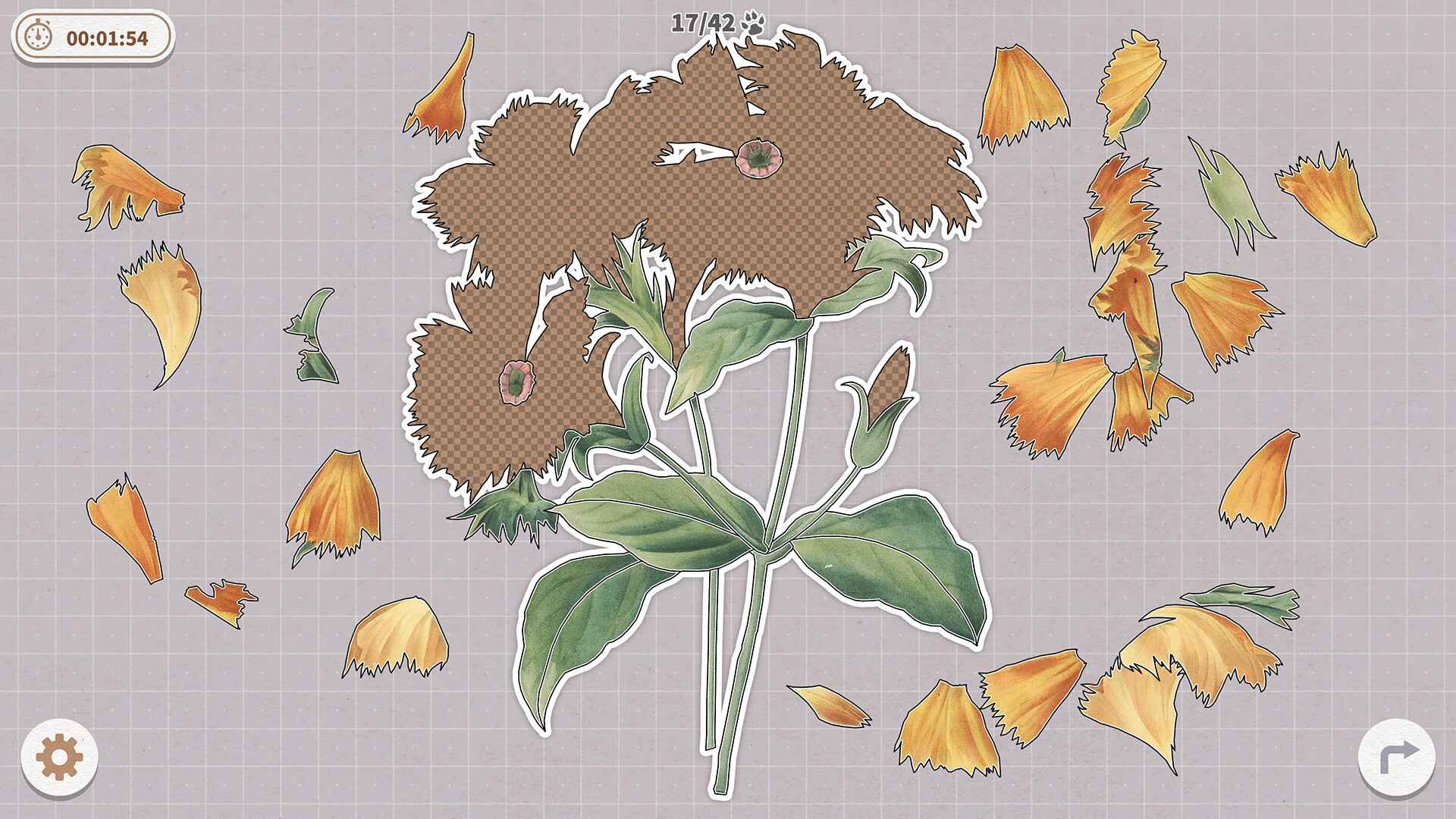 挤在一起的植物/Plants Huddled Together_4