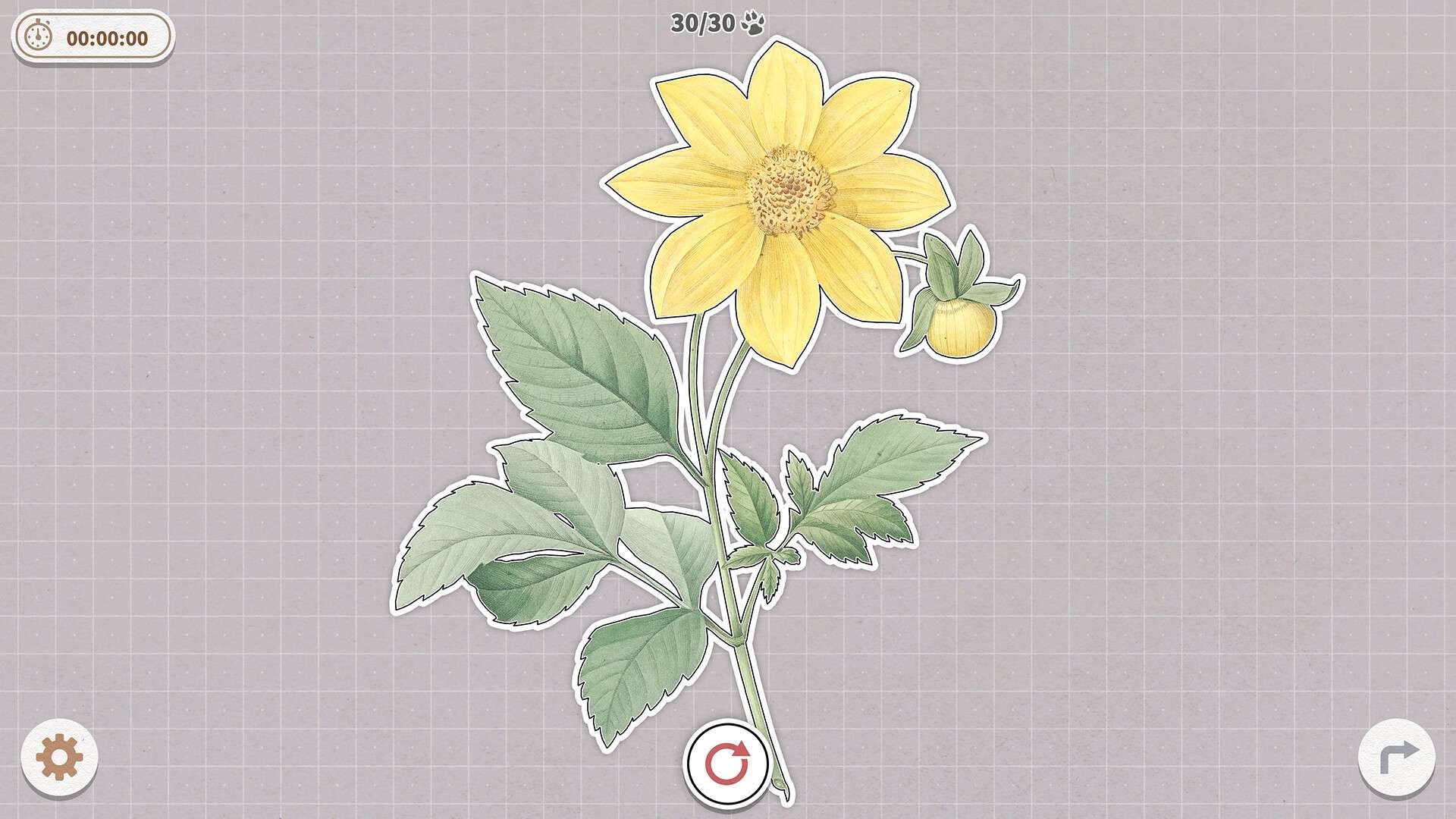 挤在一起的植物/Plants Huddled Together_1