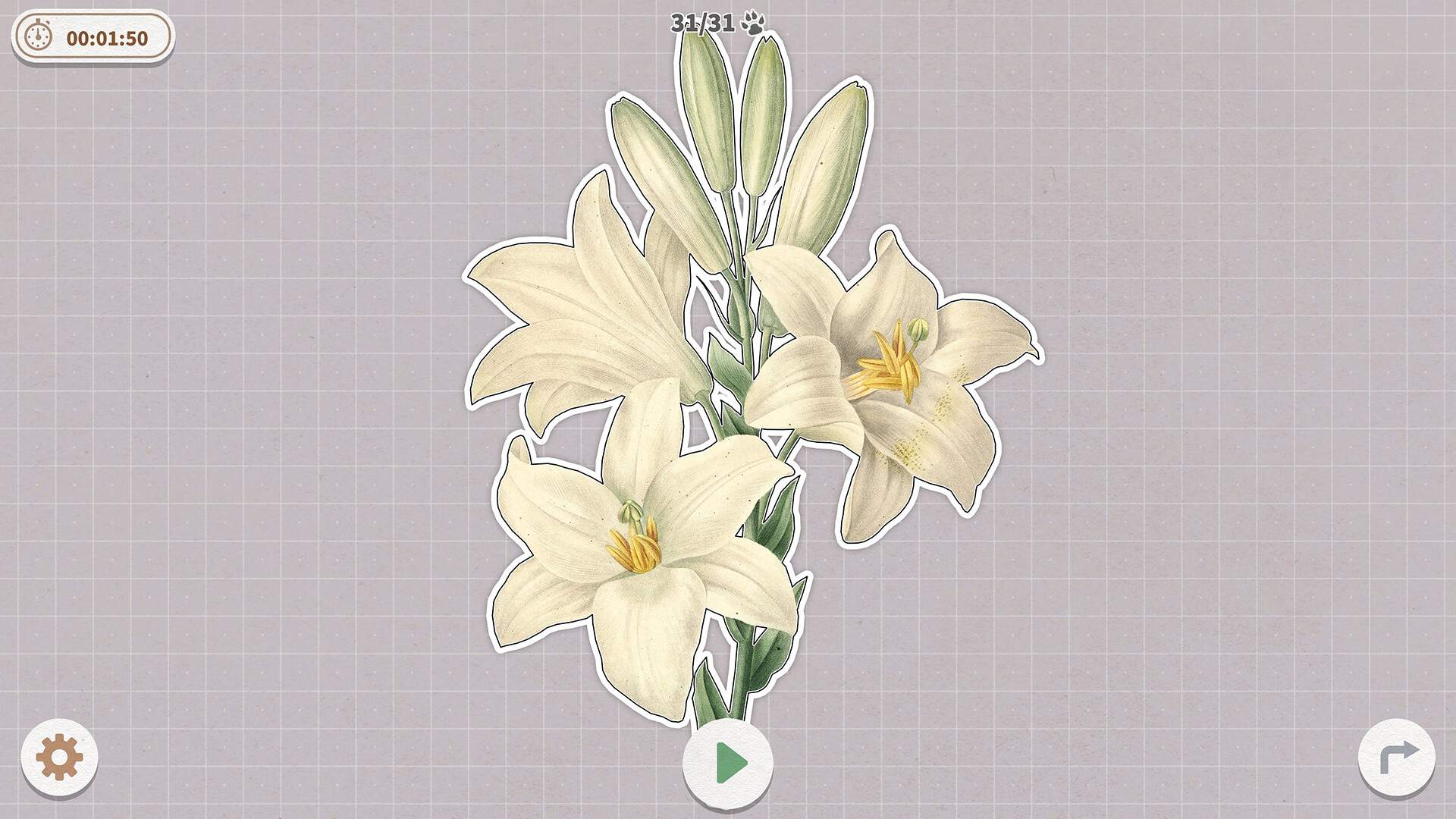 挤在一起的植物/Plants Huddled Together_2