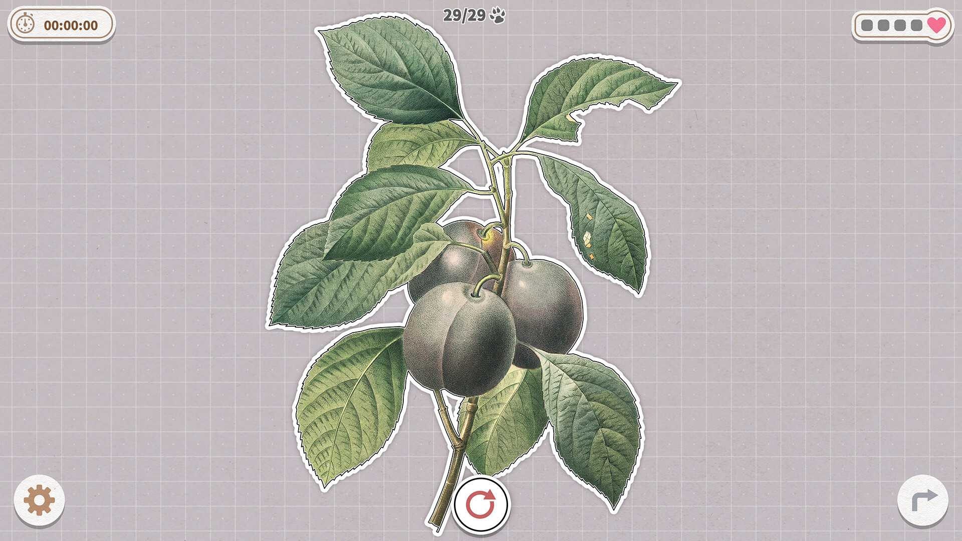 挤在一起的植物/Plants Huddled Together_0